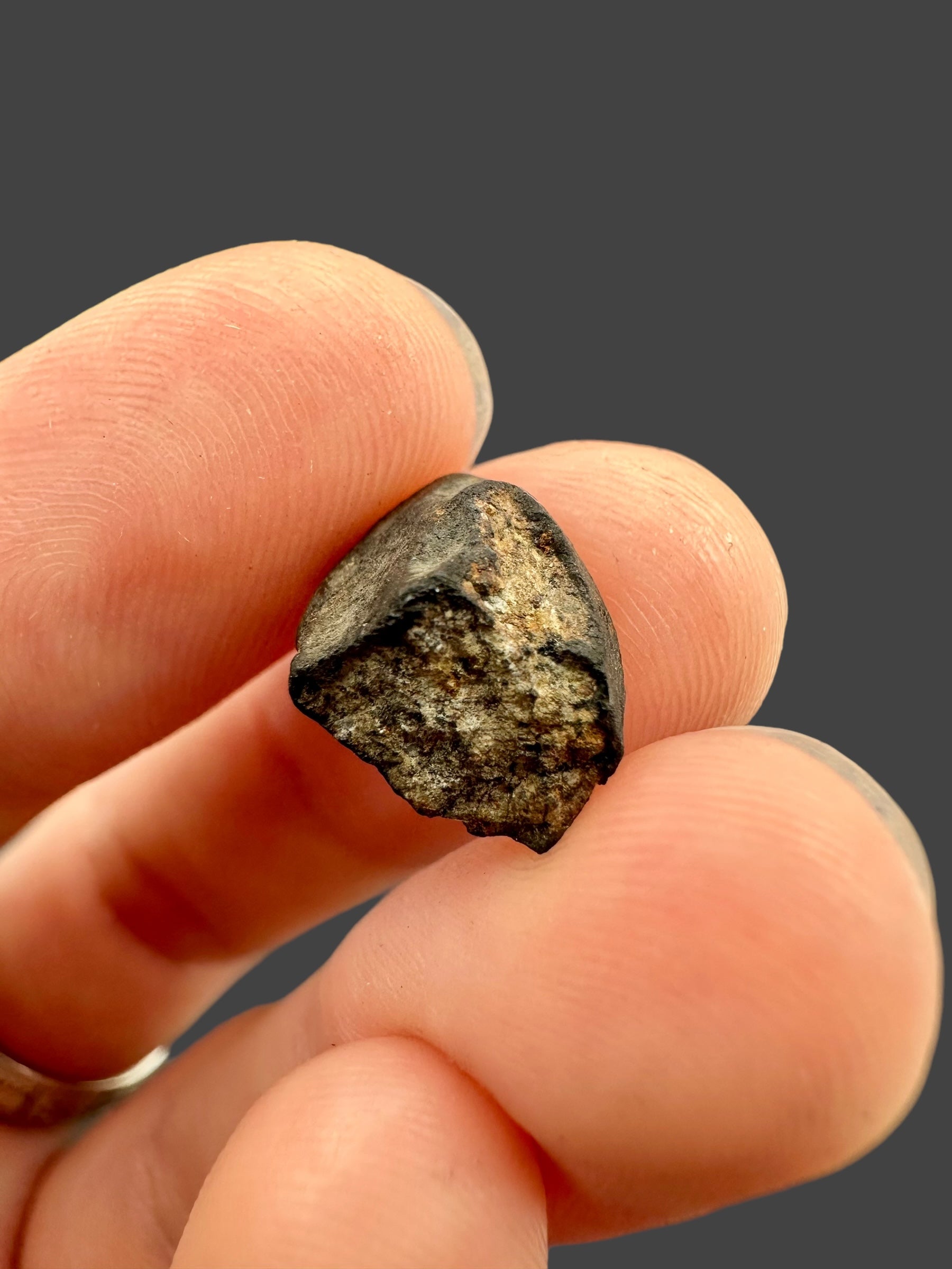 Meteorite Chelyabinsk 1,4g – Russia - MECE14
