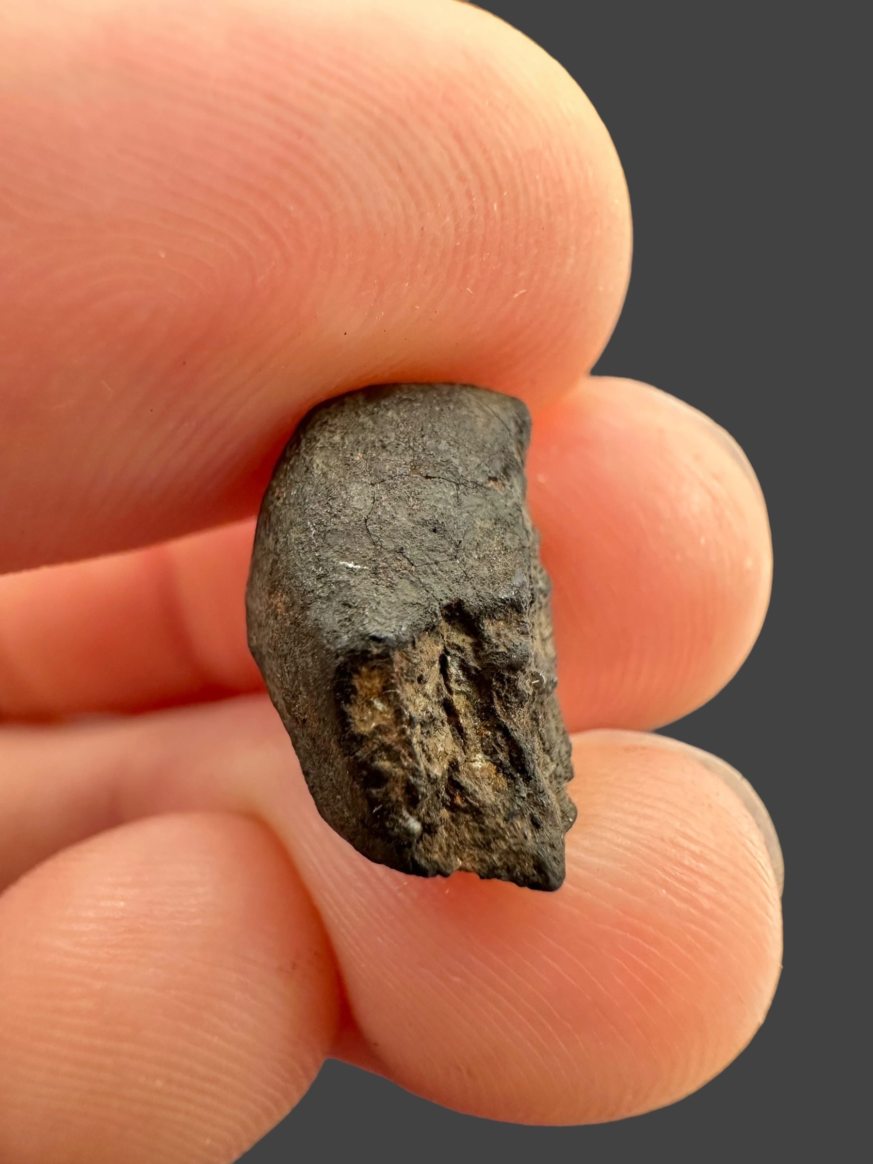 Meteorite Chelyabinsk 1,4g – Russia - MECE14
