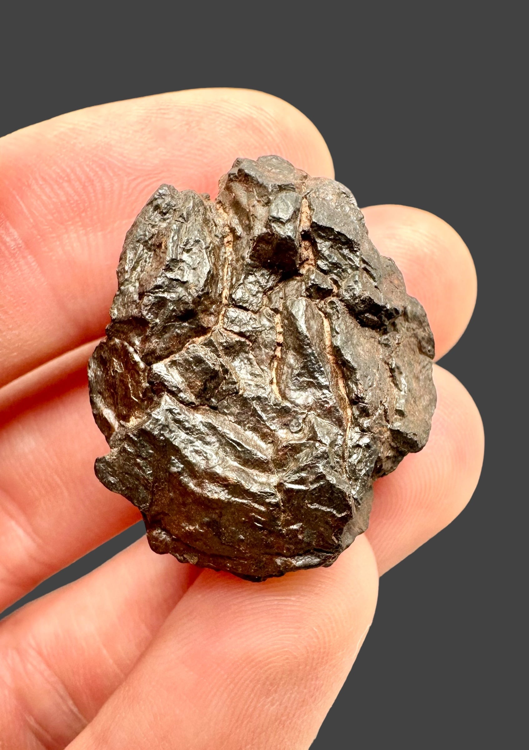 Meteorite Canyon Diablo 16,9g – Arizona, USA - MECD02