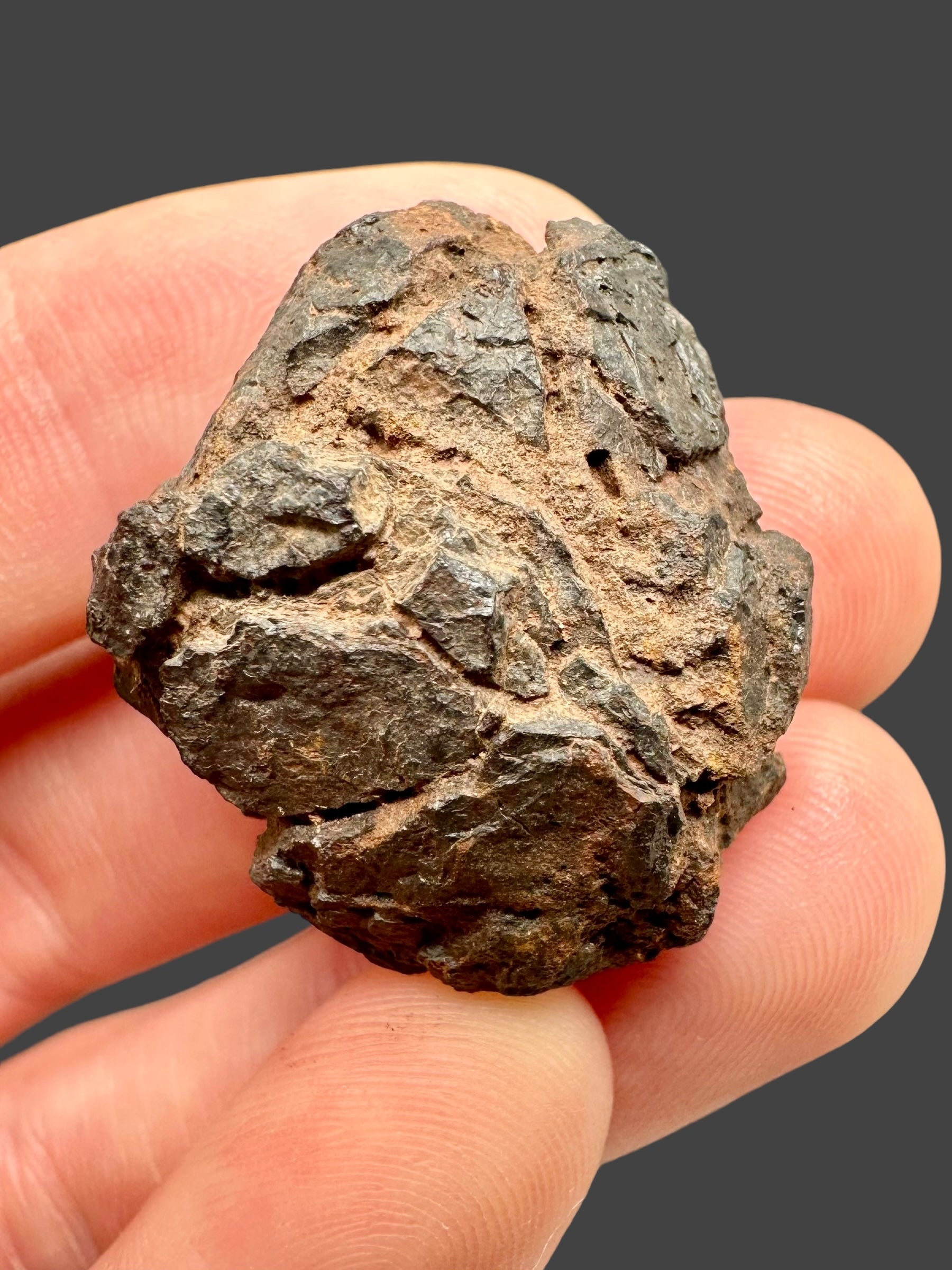 Meteorite Canyon Diablo 16,9g – Arizona, USA - MECD02