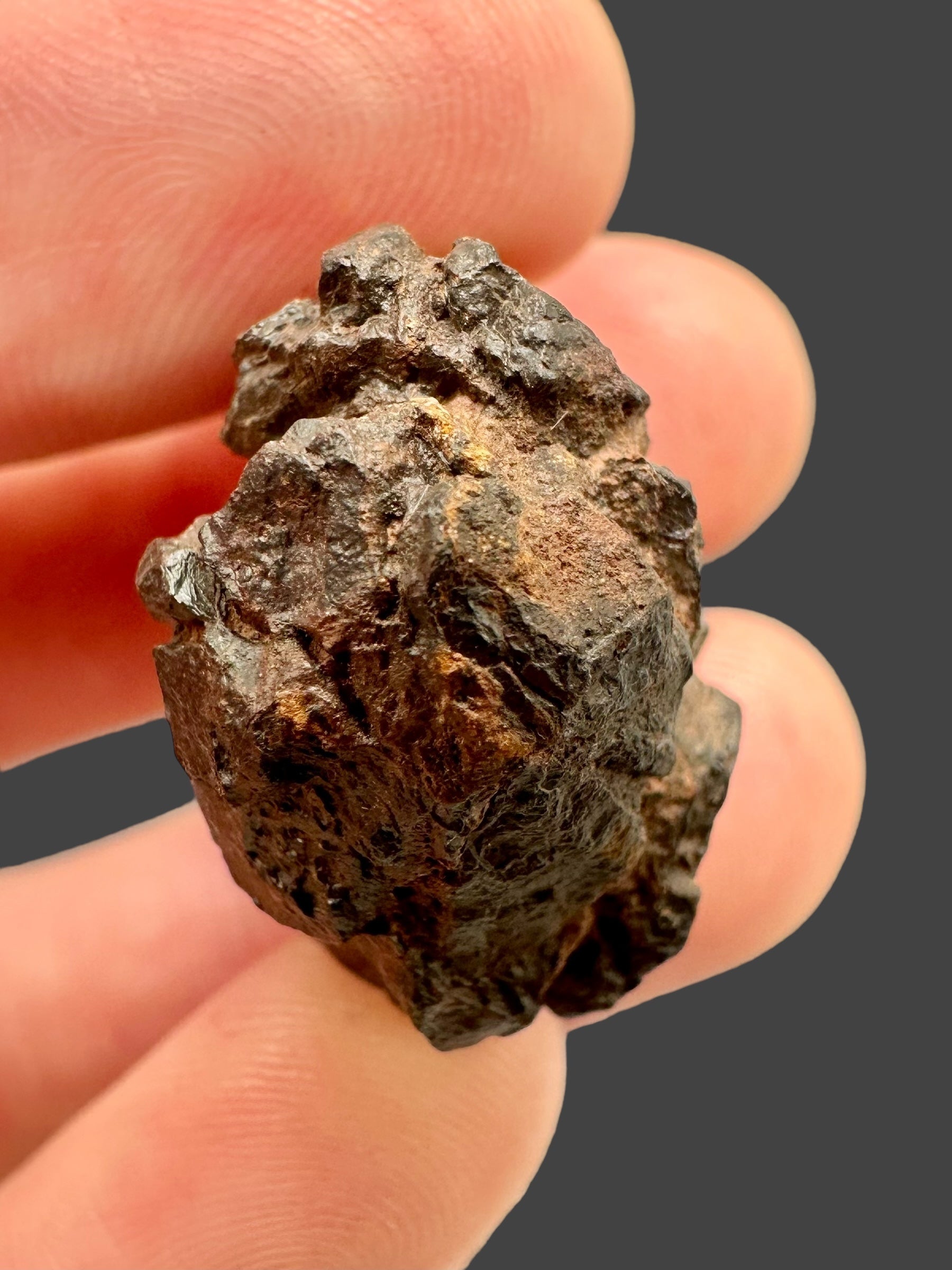 Meteorite Canyon Diablo 16,9g – Arizona, USA - MECD02