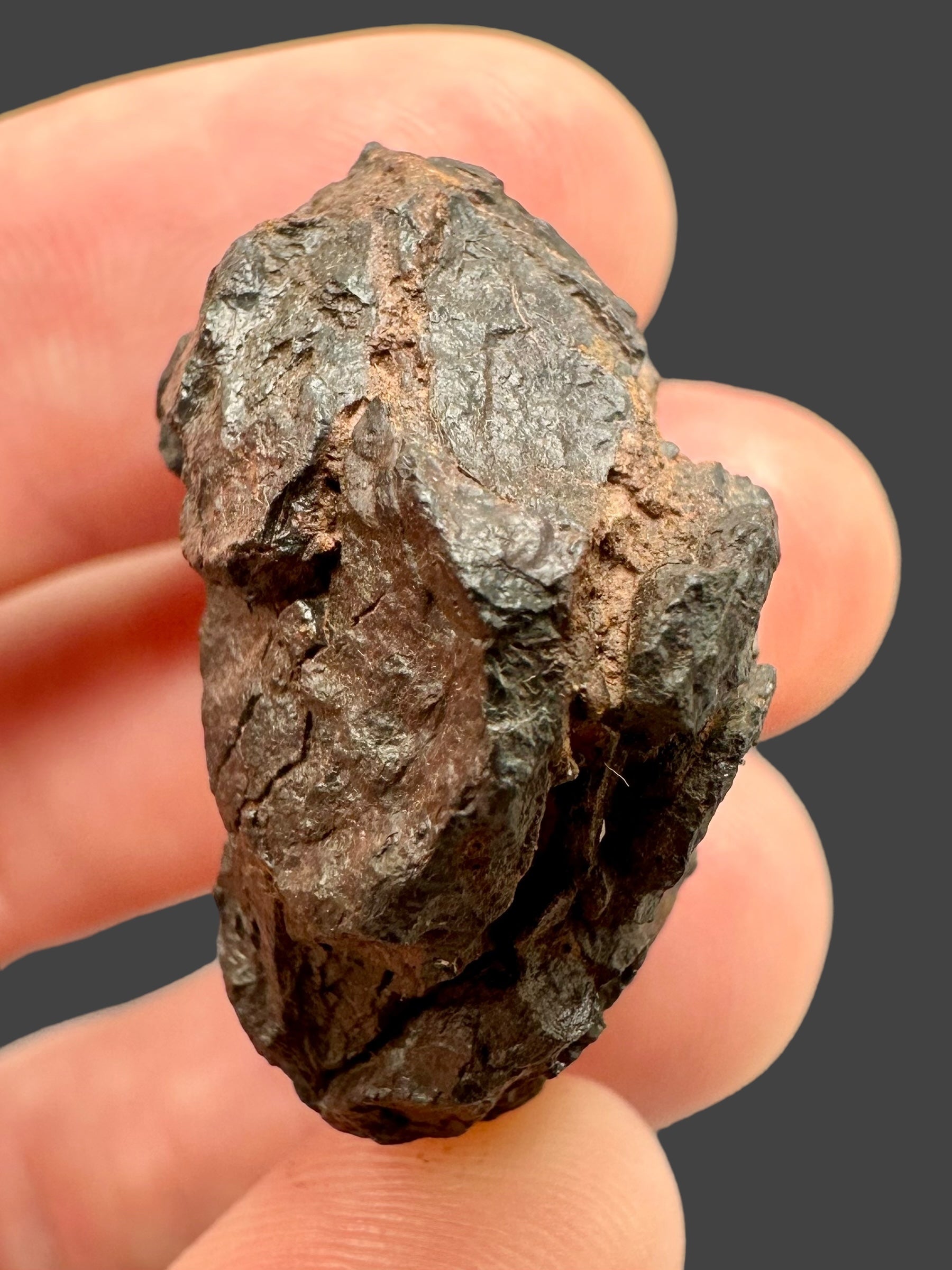 Meteorite Canyon Diablo 16,9g – Arizona, USA - MECD02