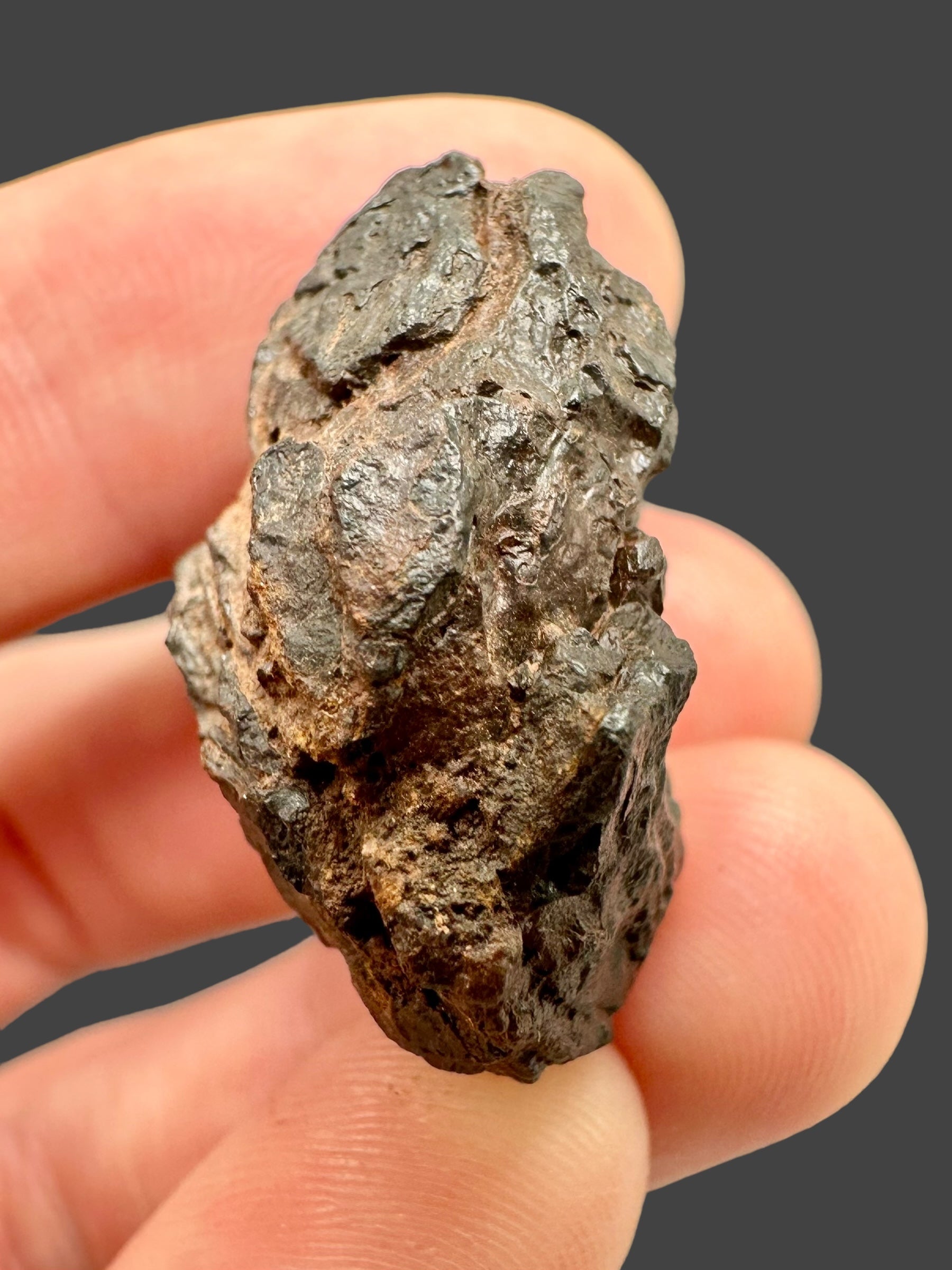 Meteorite Canyon Diablo 16,9g – Arizona, USA - MECD02
