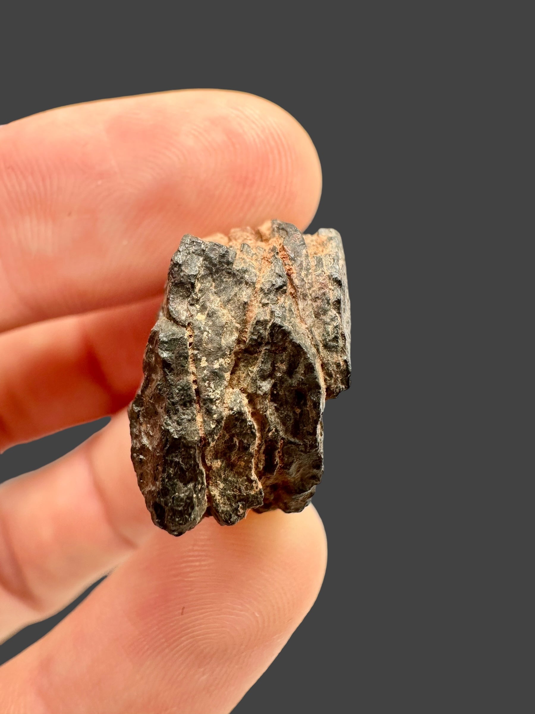 Meteorite Canyon Diablo 10,5g – Arizona, USA - MECD04