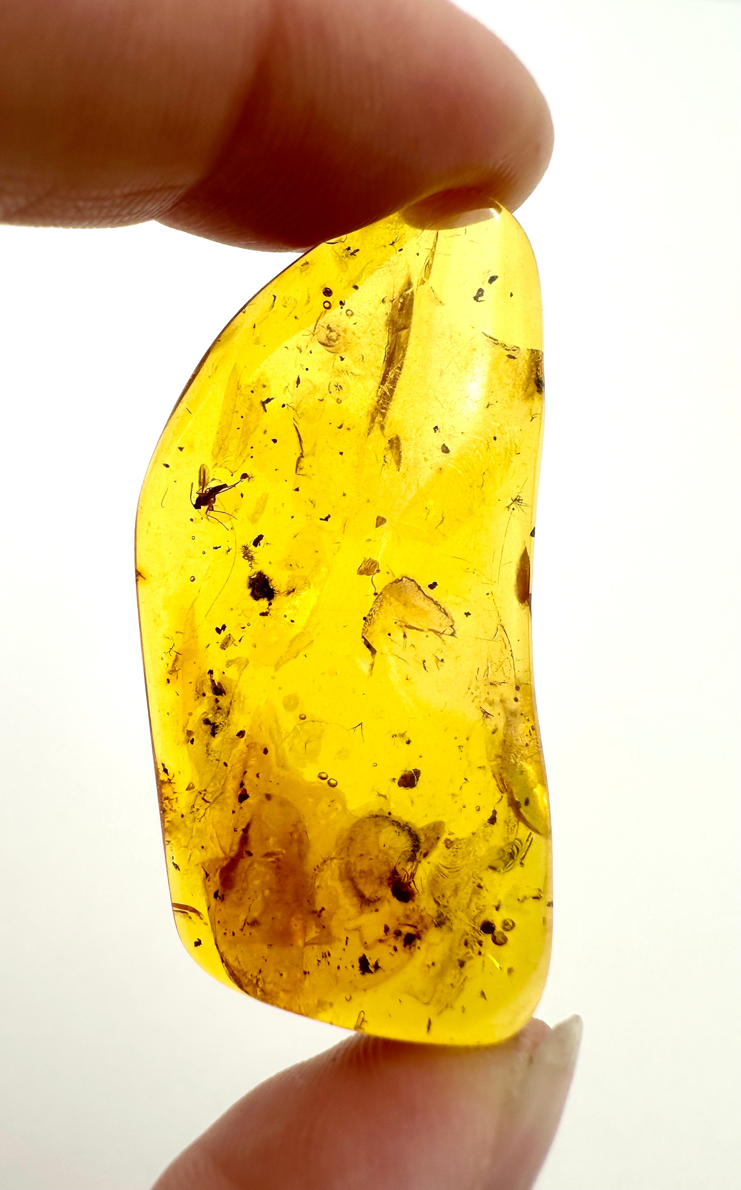 Insects in amber – Lithuania – 3g - IJ013