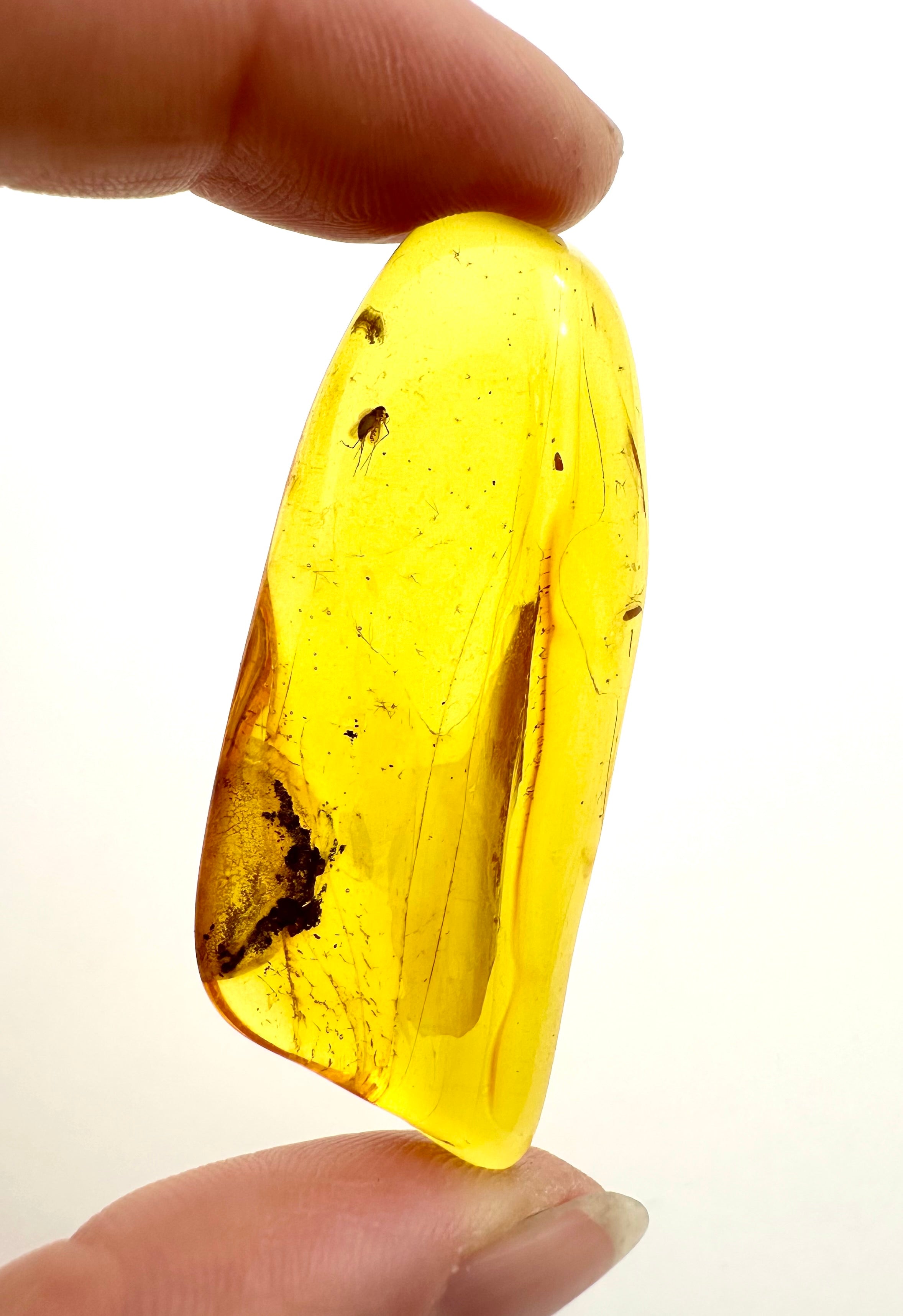 Insects in amber – Lithuania – 5g - IJ014