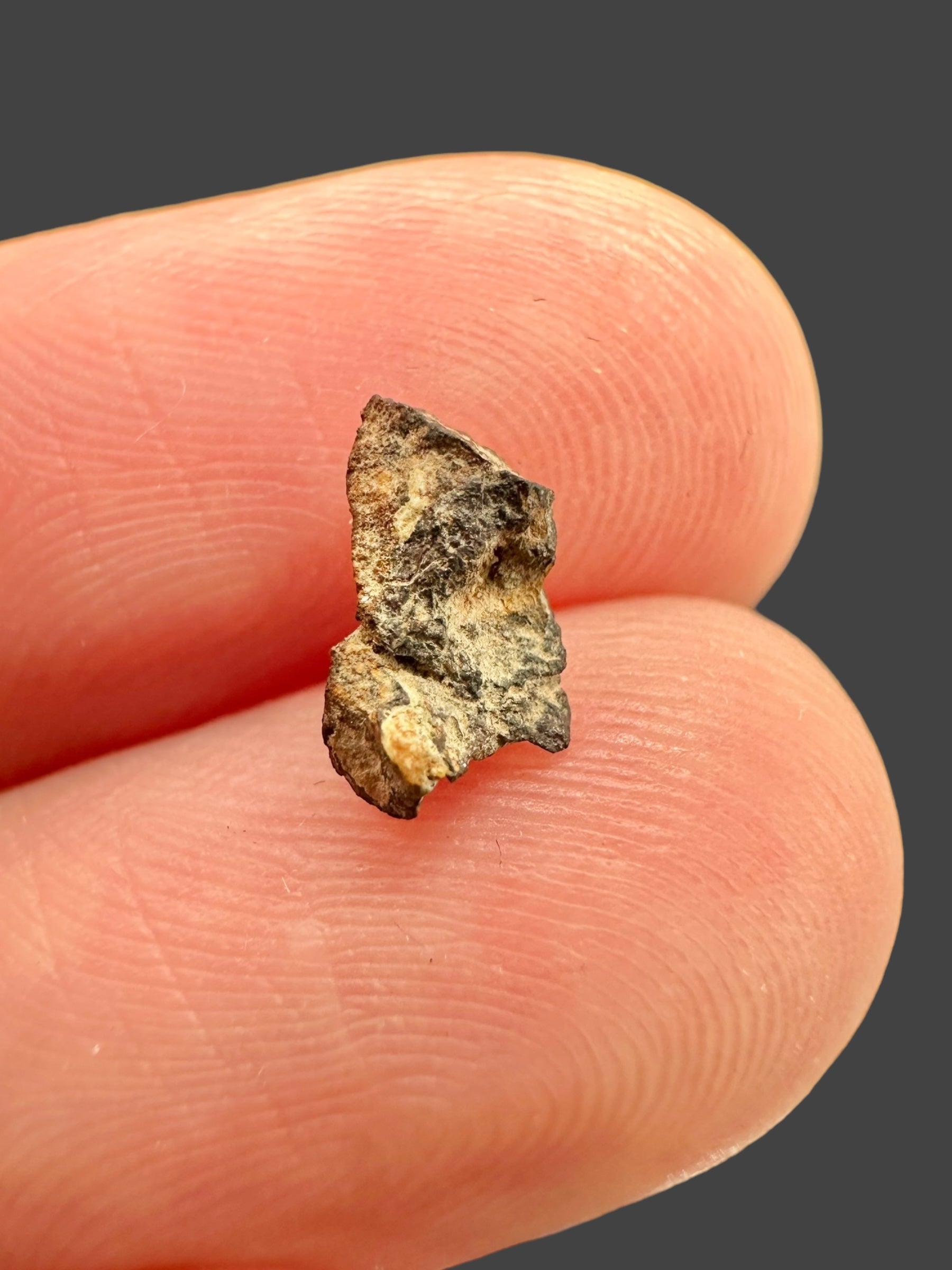Meteorite Errachidia 004 – 0,15g – Morocco - MEER01