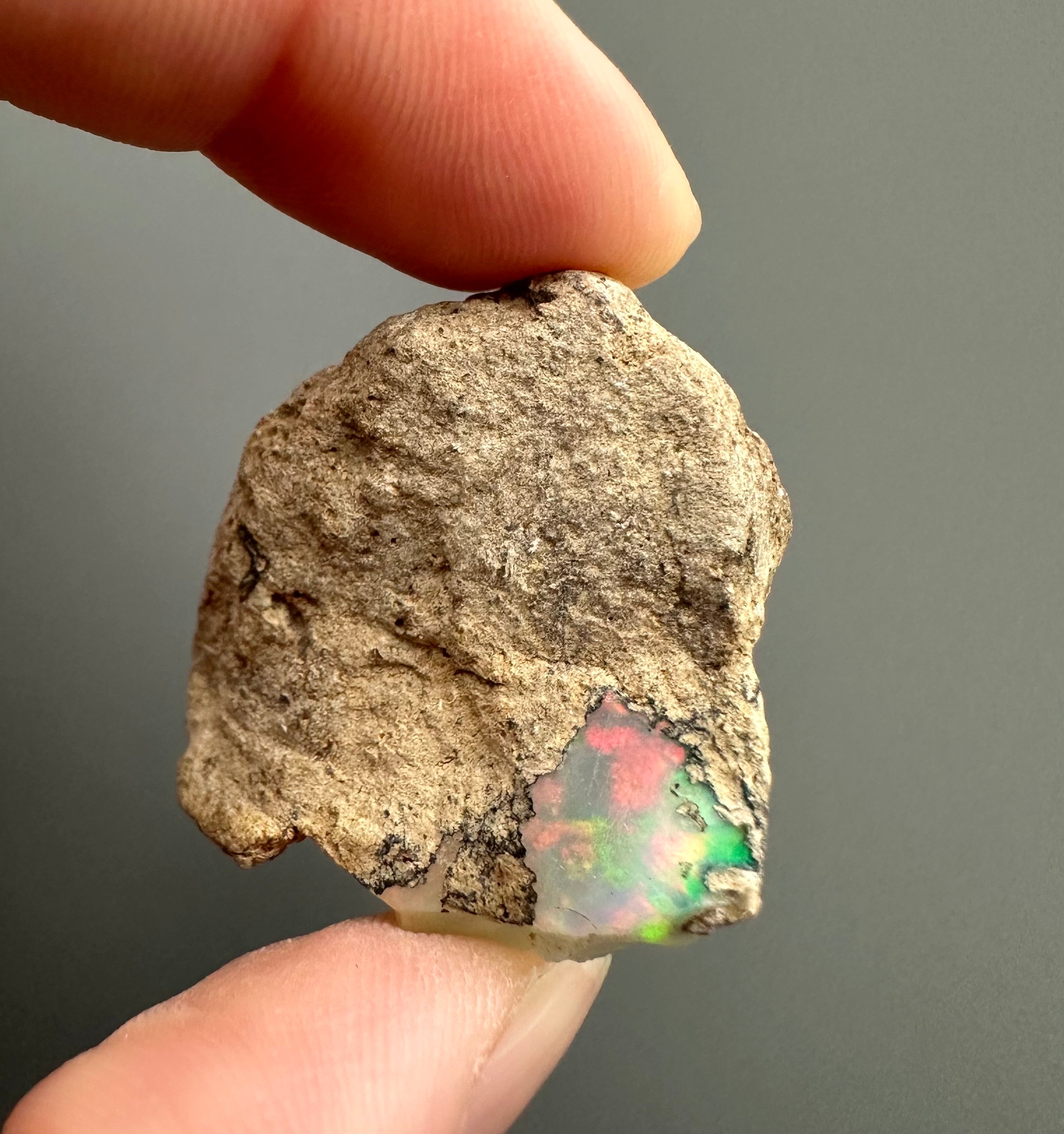 Precious opal 55ct – Welo, Ethiopia - OP137