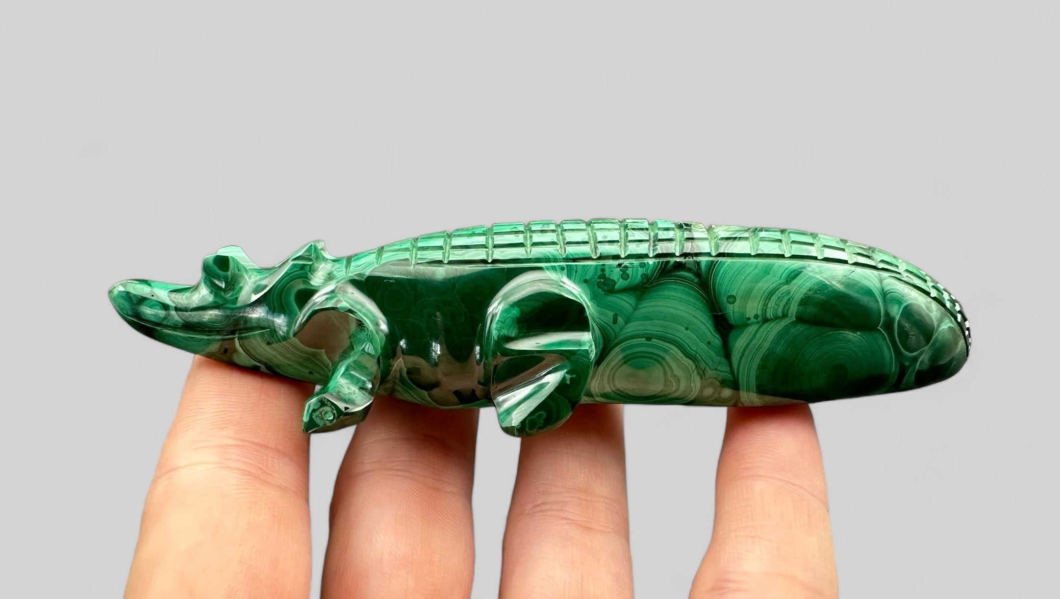 Malachite animal – Crocodile - MZ006