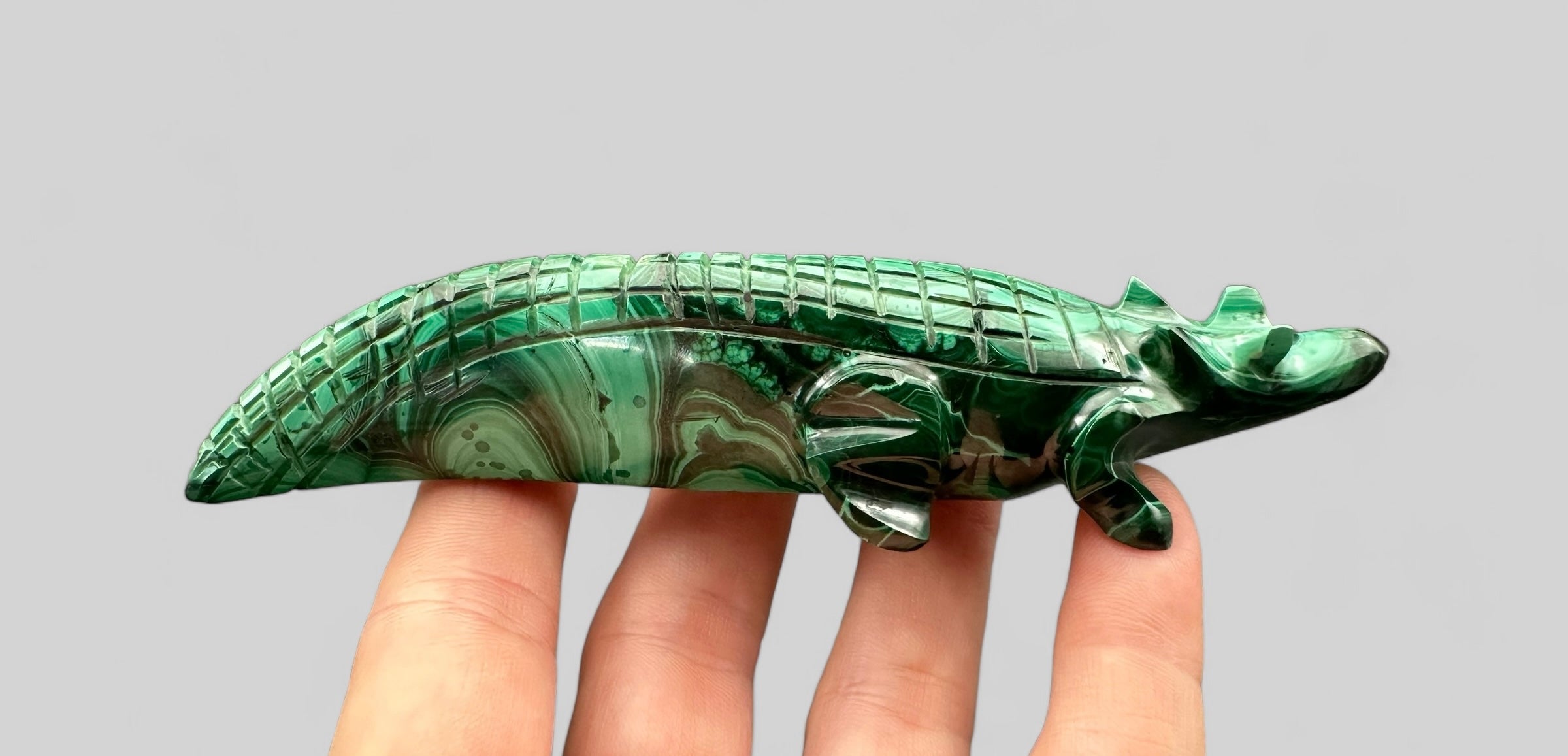 Malachite animal – Crocodile - MZ006
