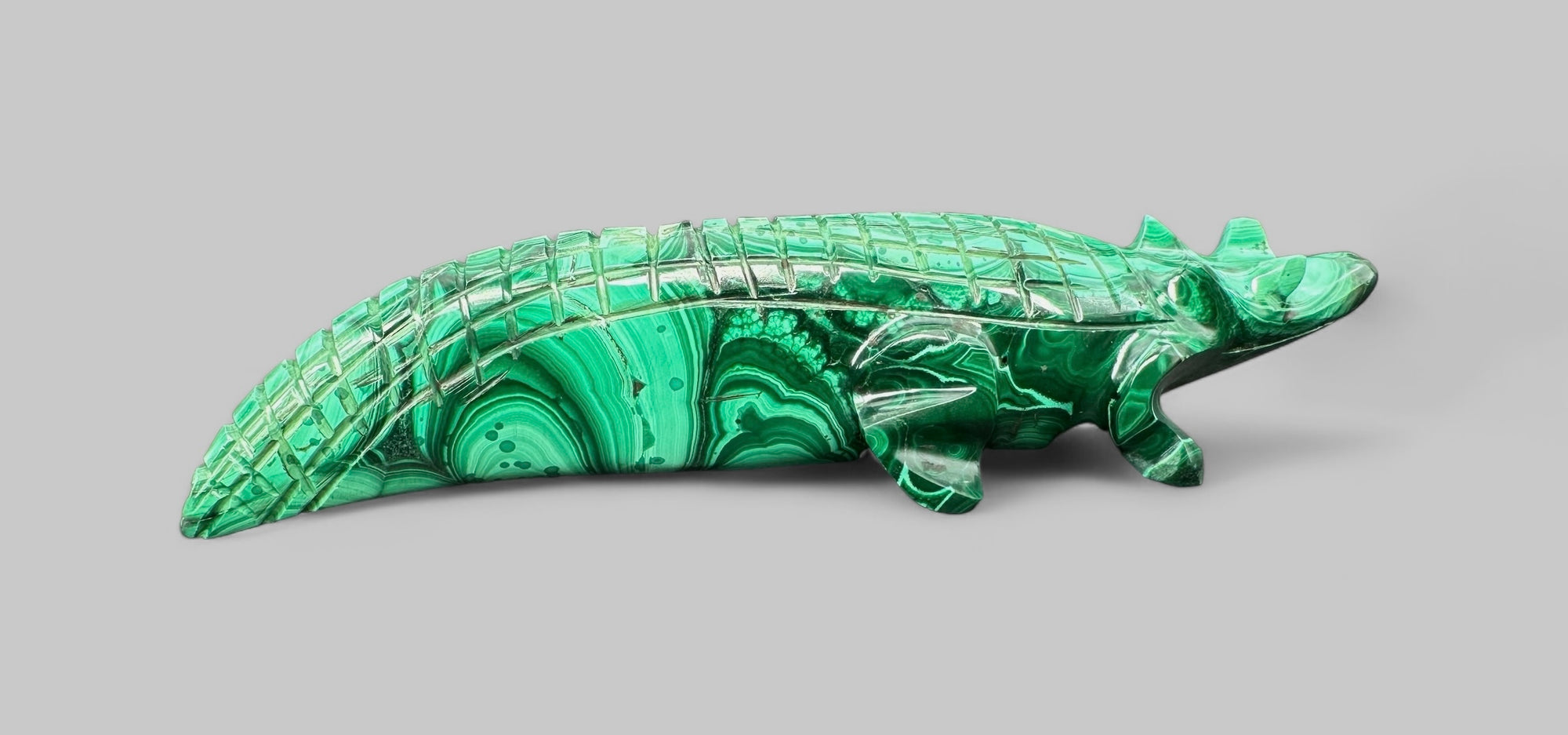 Malachite animal – Crocodile