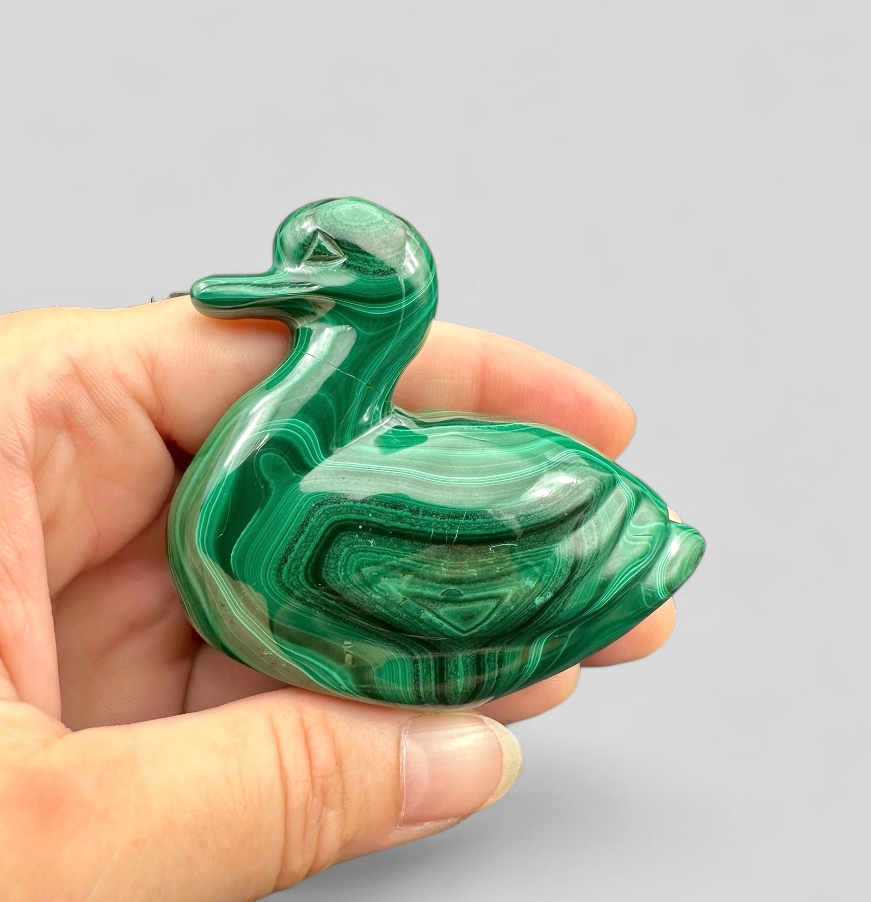 Malachite animal – Duck - MZ008