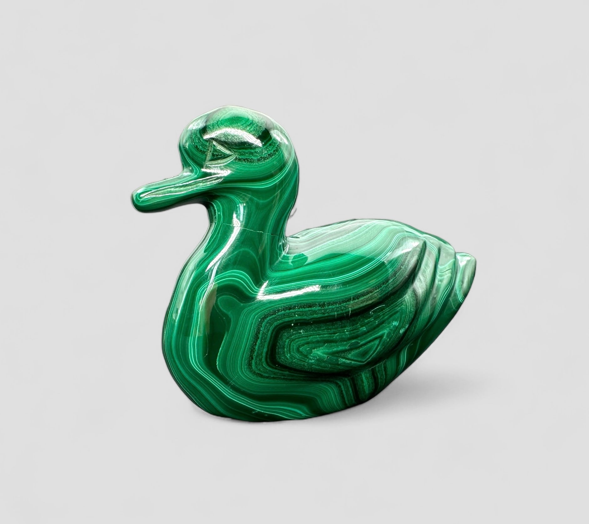 Malachite animal – Duck
