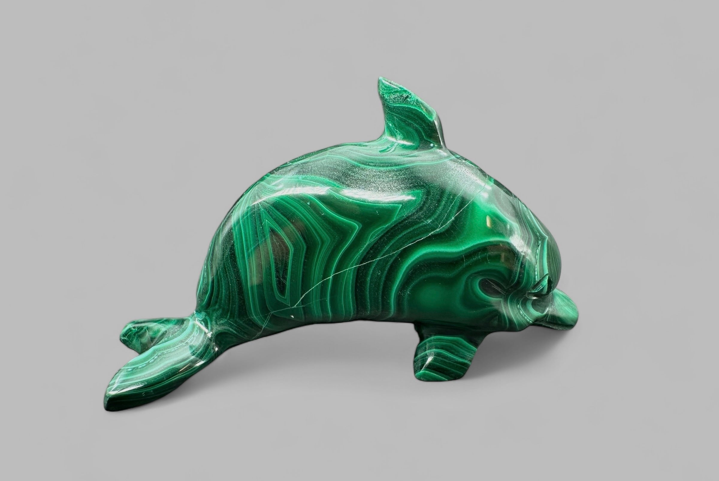 Malachite animal – Dolphin - MZ012