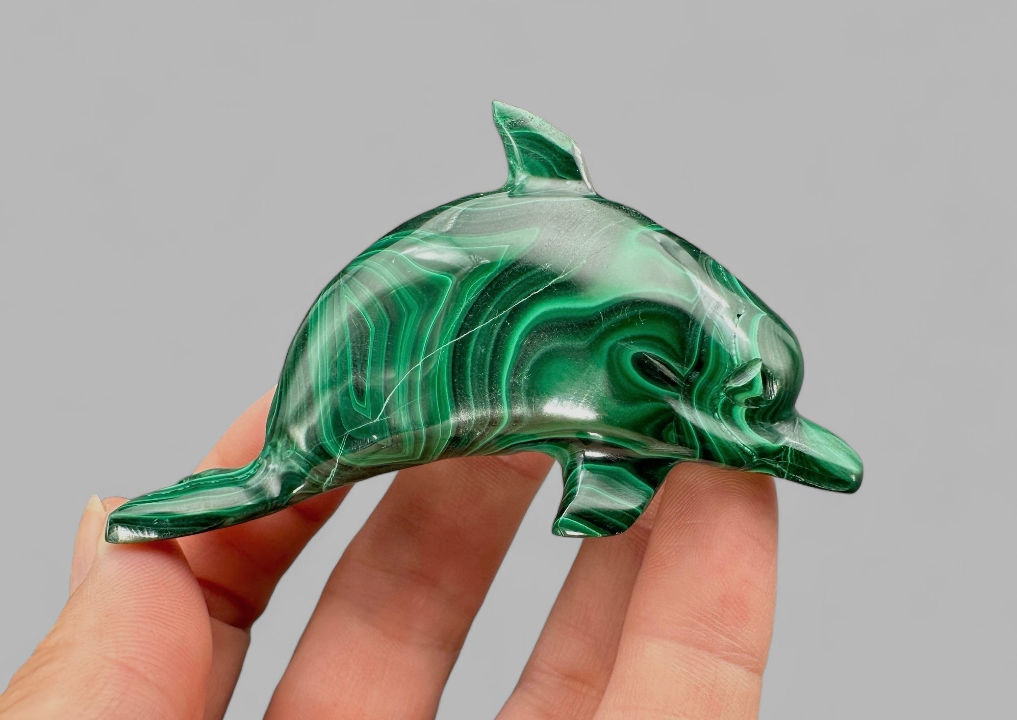 Malachite animal – Dolphin - MZ012