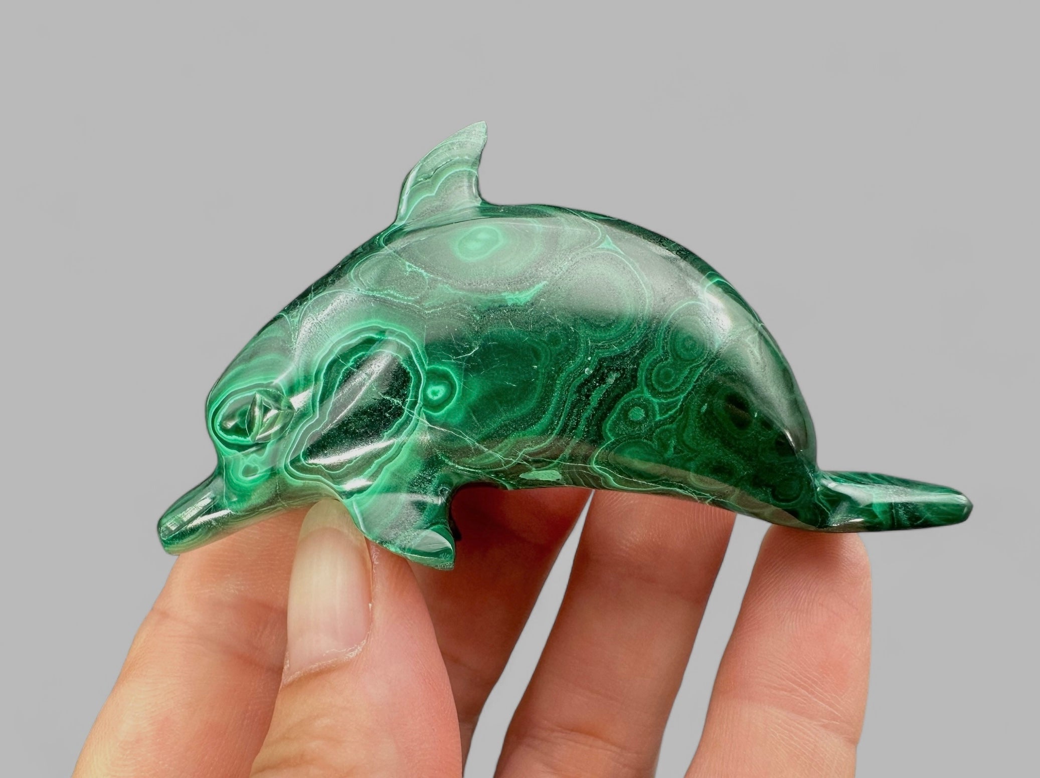 Malachite animal – Dolphin - MZ012