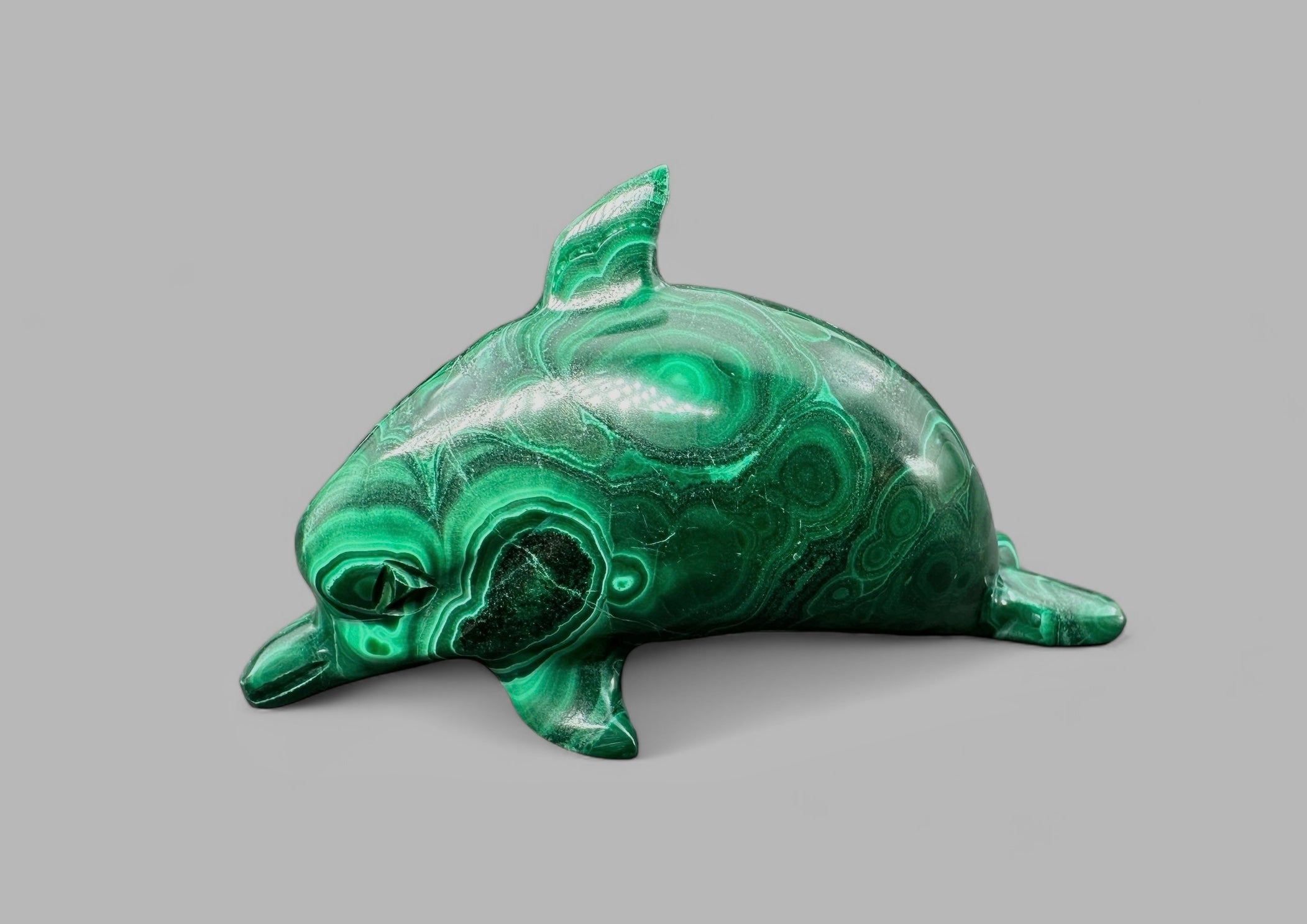 Malachite animal – Dolphin