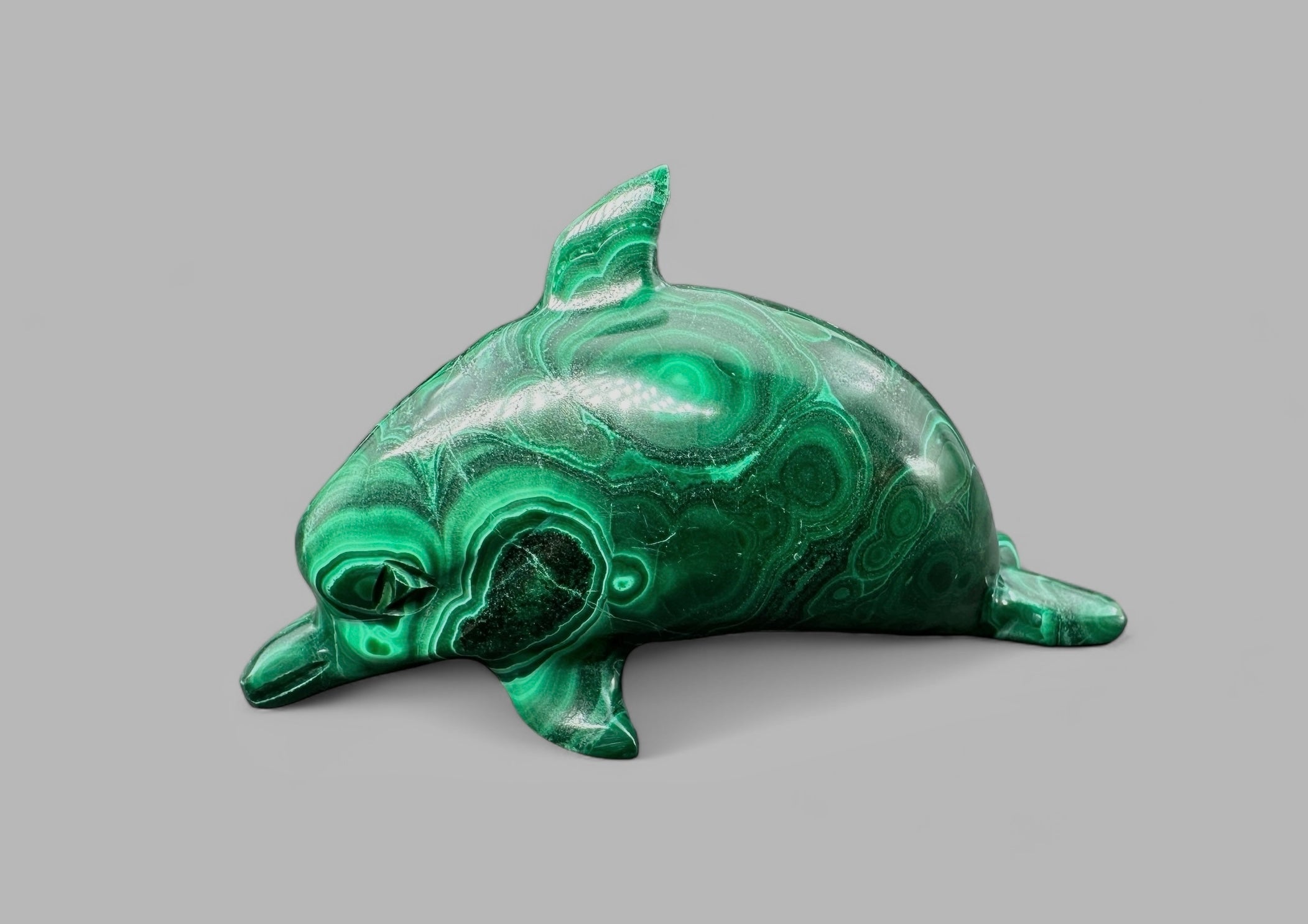 Malachite animal – Dolphin