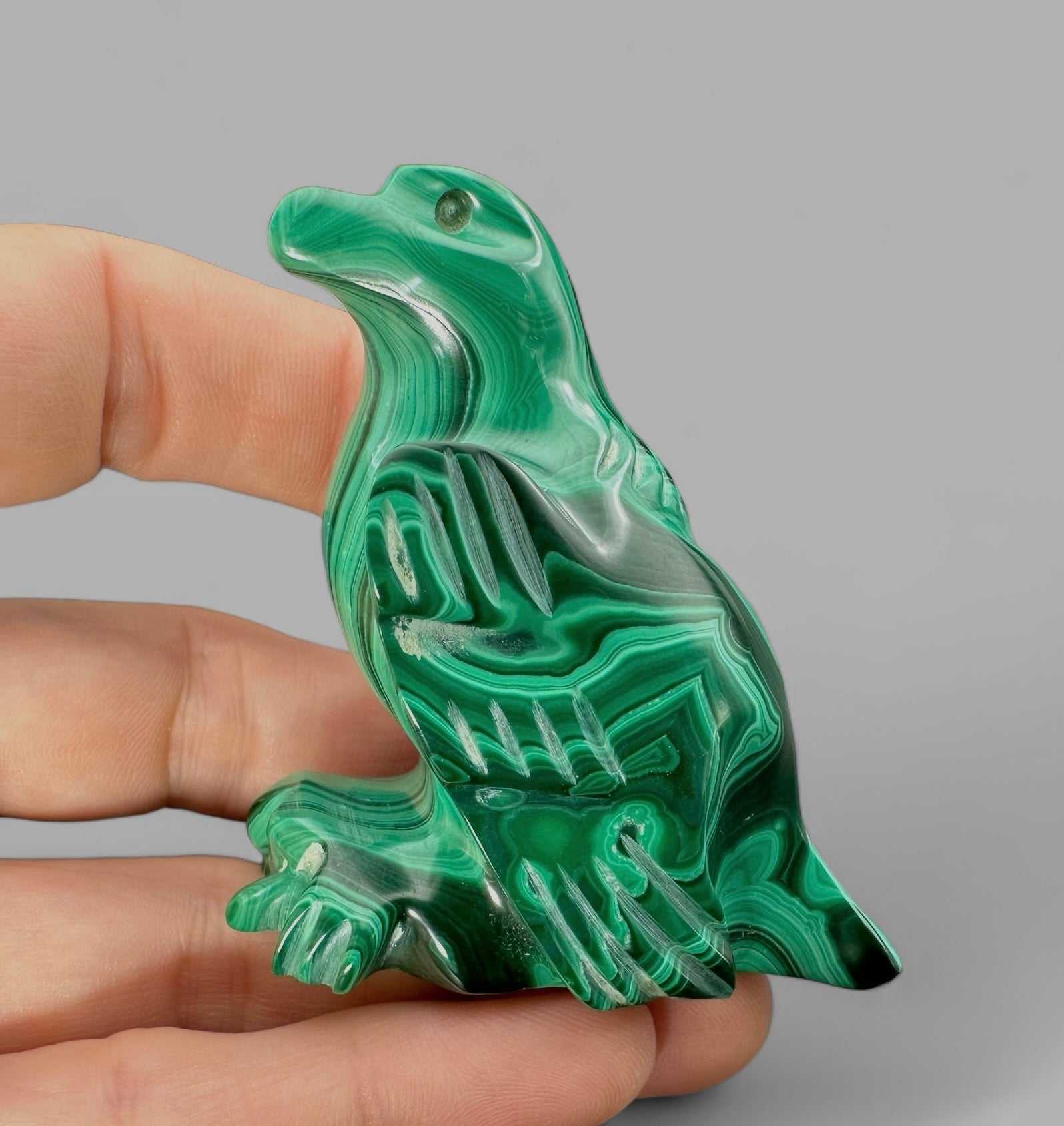 Malachite animal – Eagle - MZ013