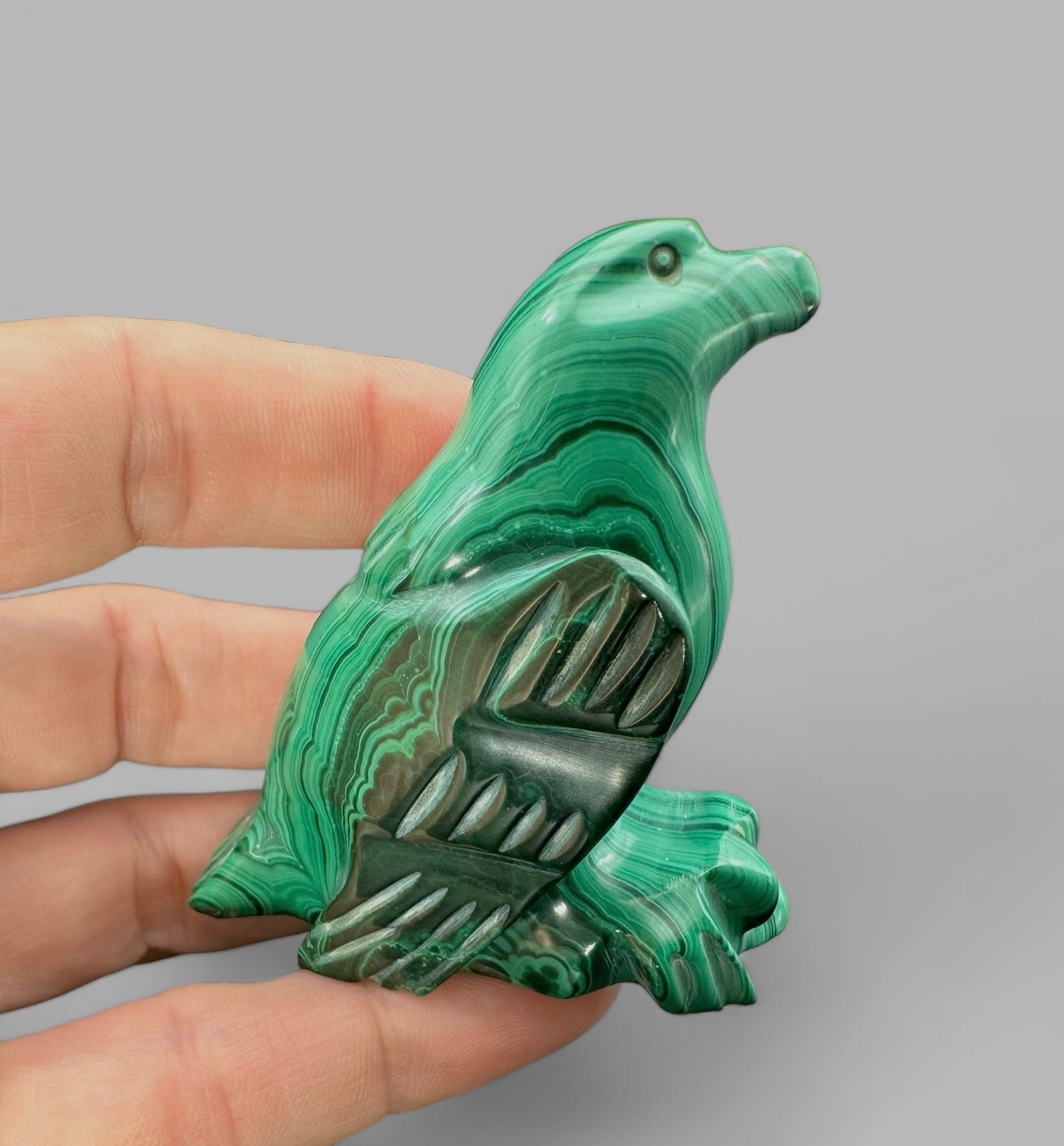 Malachite animal – Eagle - MZ013