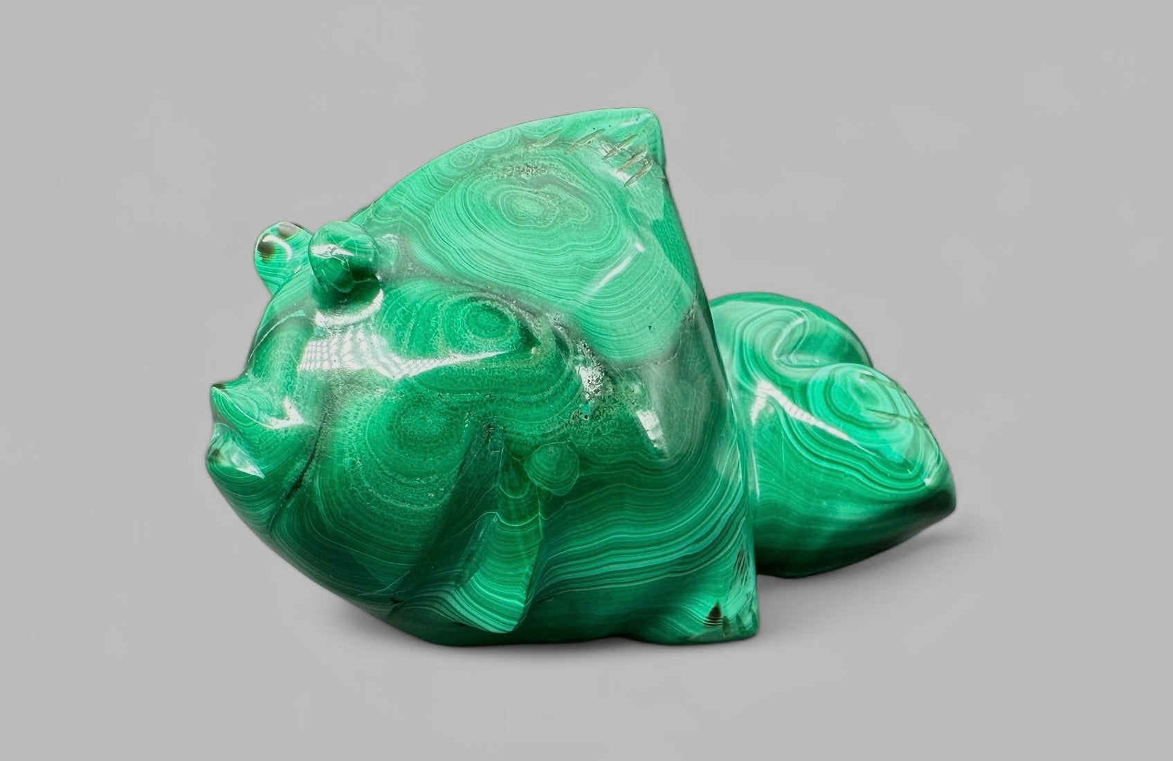 Malachite animal – Fish - MZ016