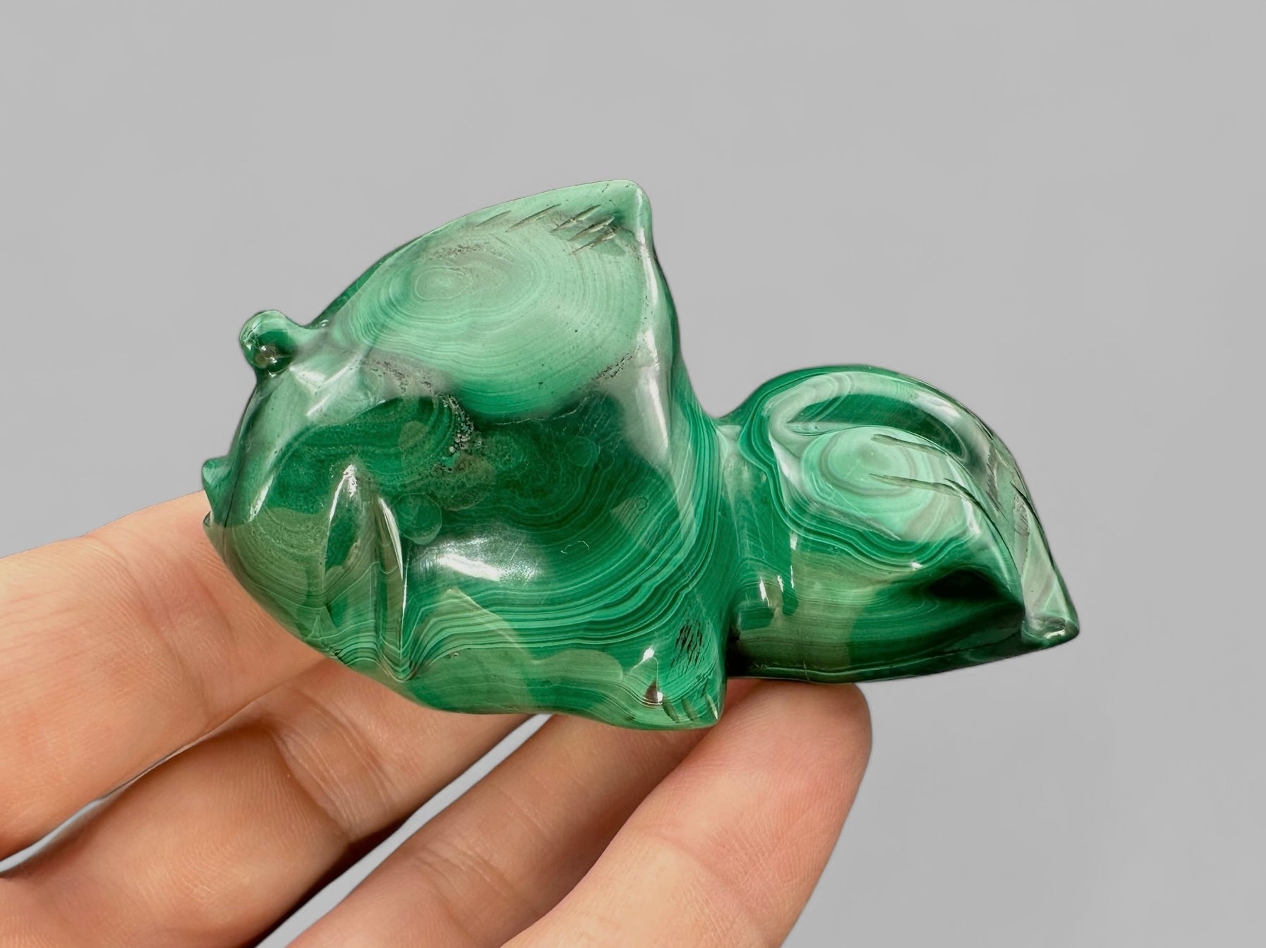 Malachite animal – Fish - MZ016