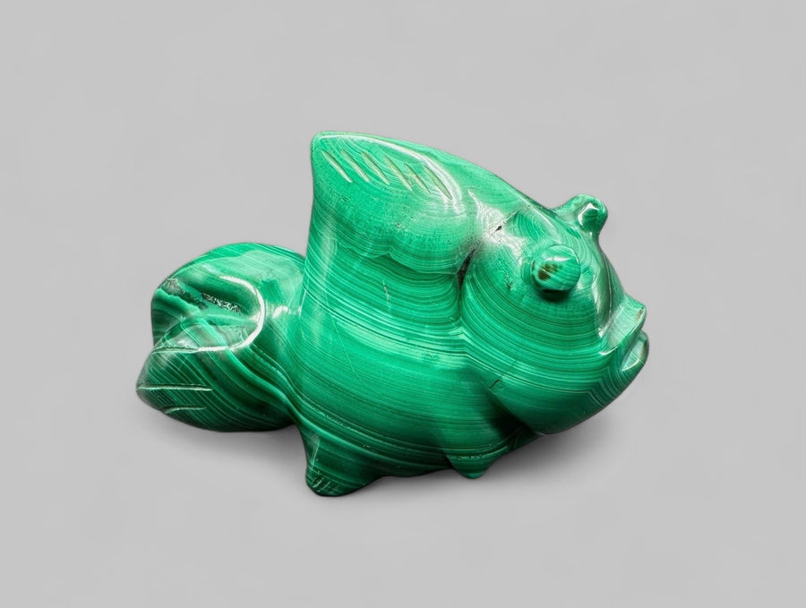 Pesce intagliato in malachite verde del Congo con bande concentriche chiare e scure