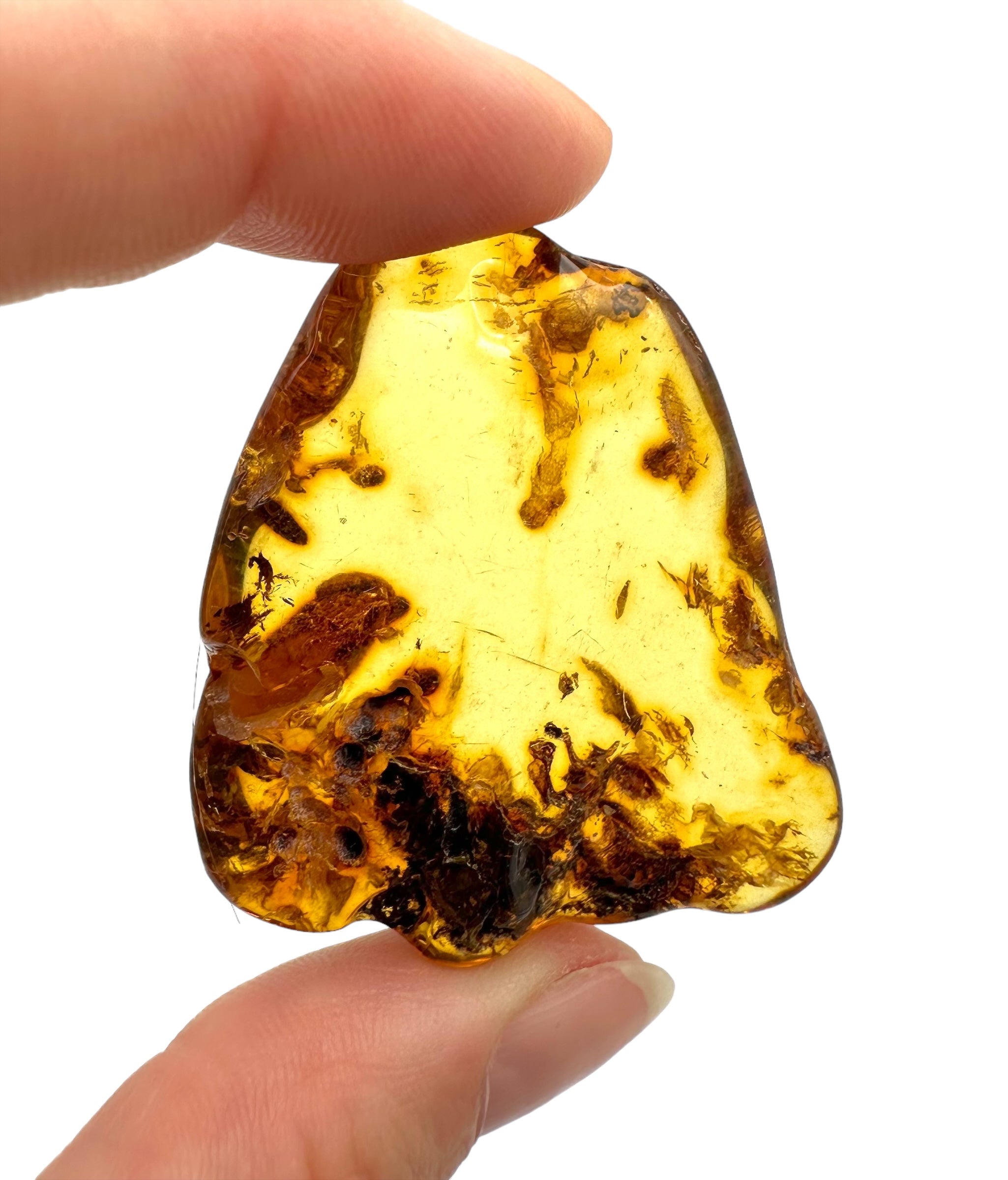 Amber – Lithuania - JN131