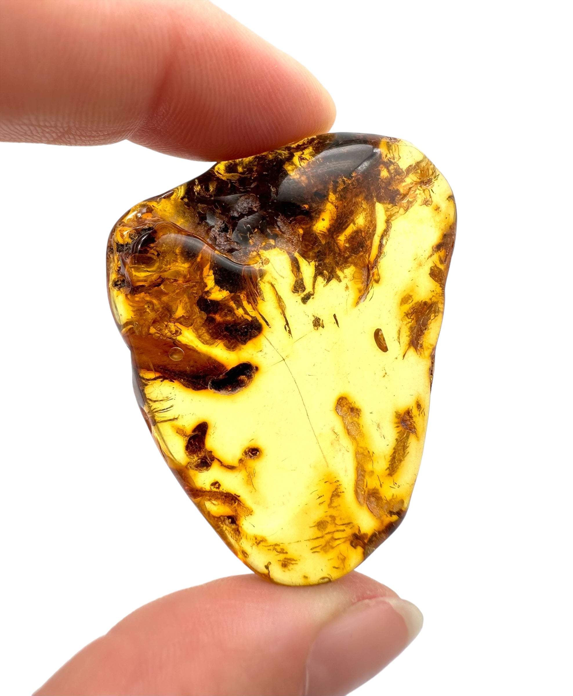 Amber – Lithuania
