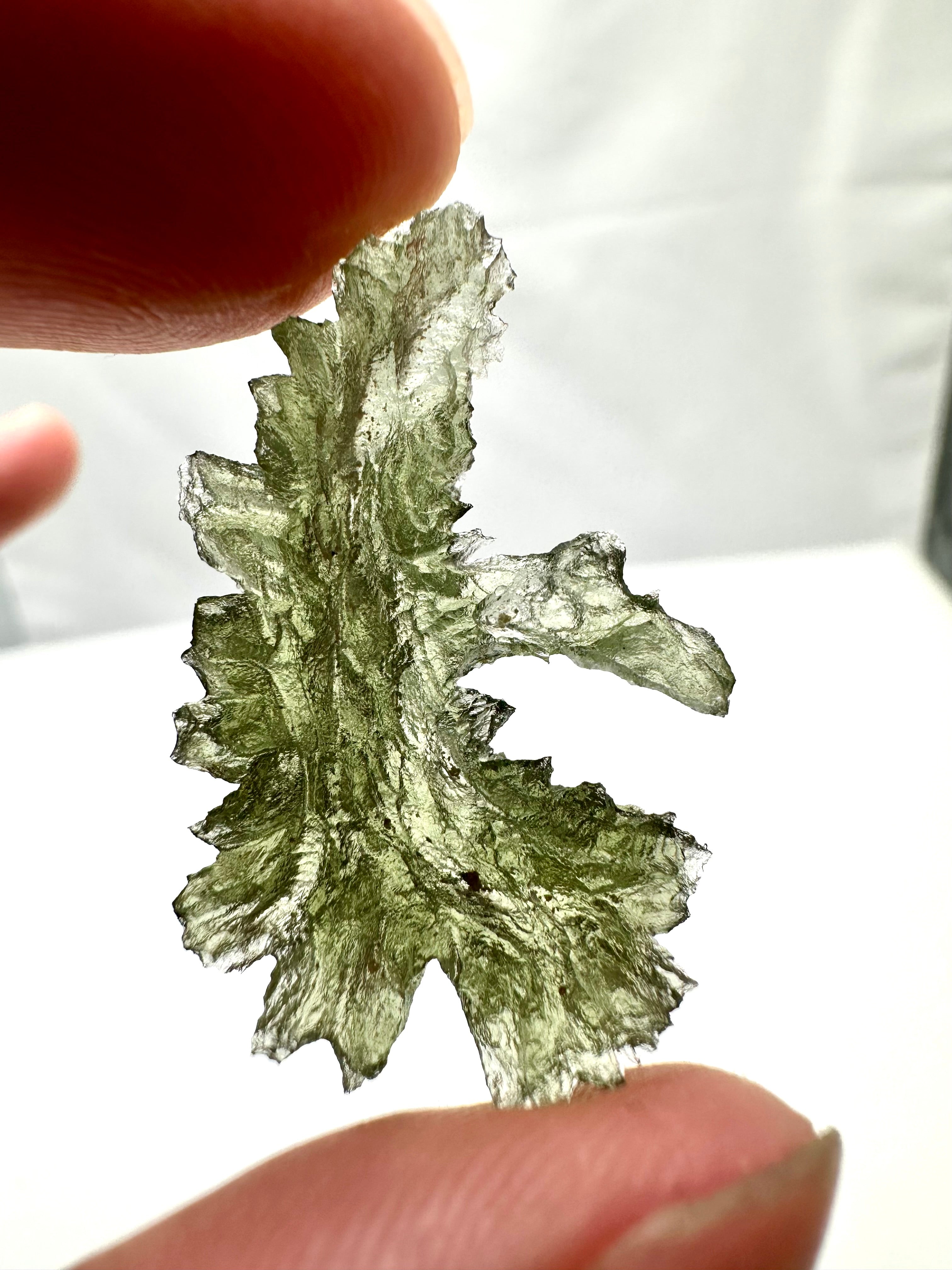 Moldavite – Besednice Jezkovna – 2,4g - V1781