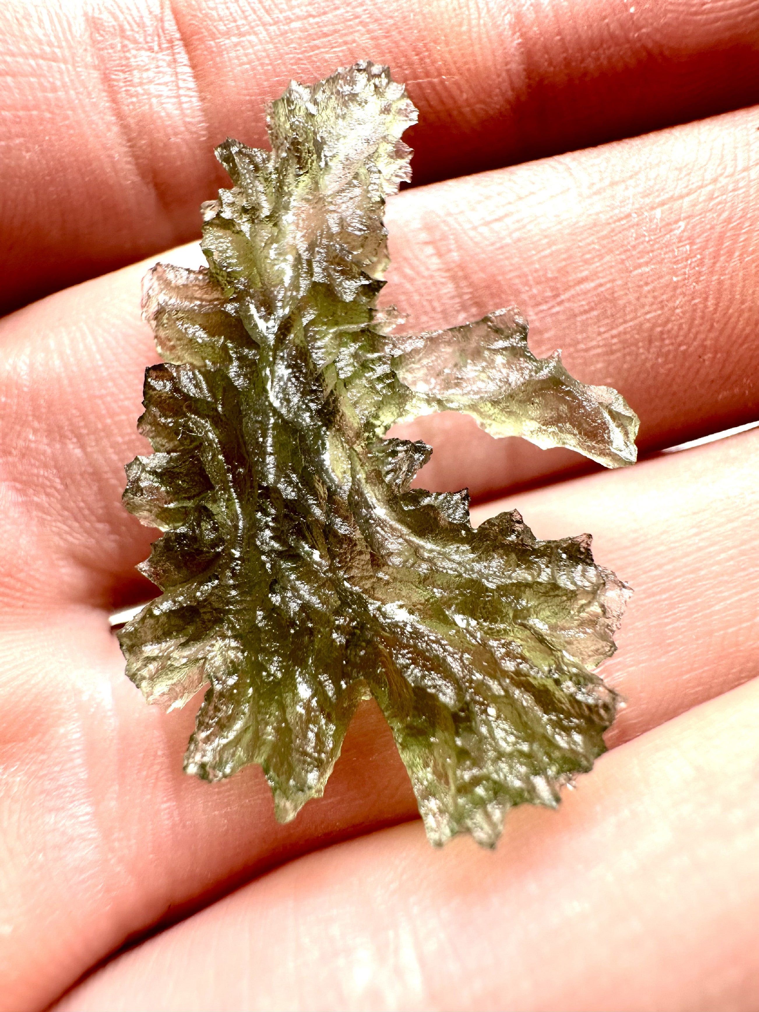 Moldavite – Besednice Jezkovna – 2,4g