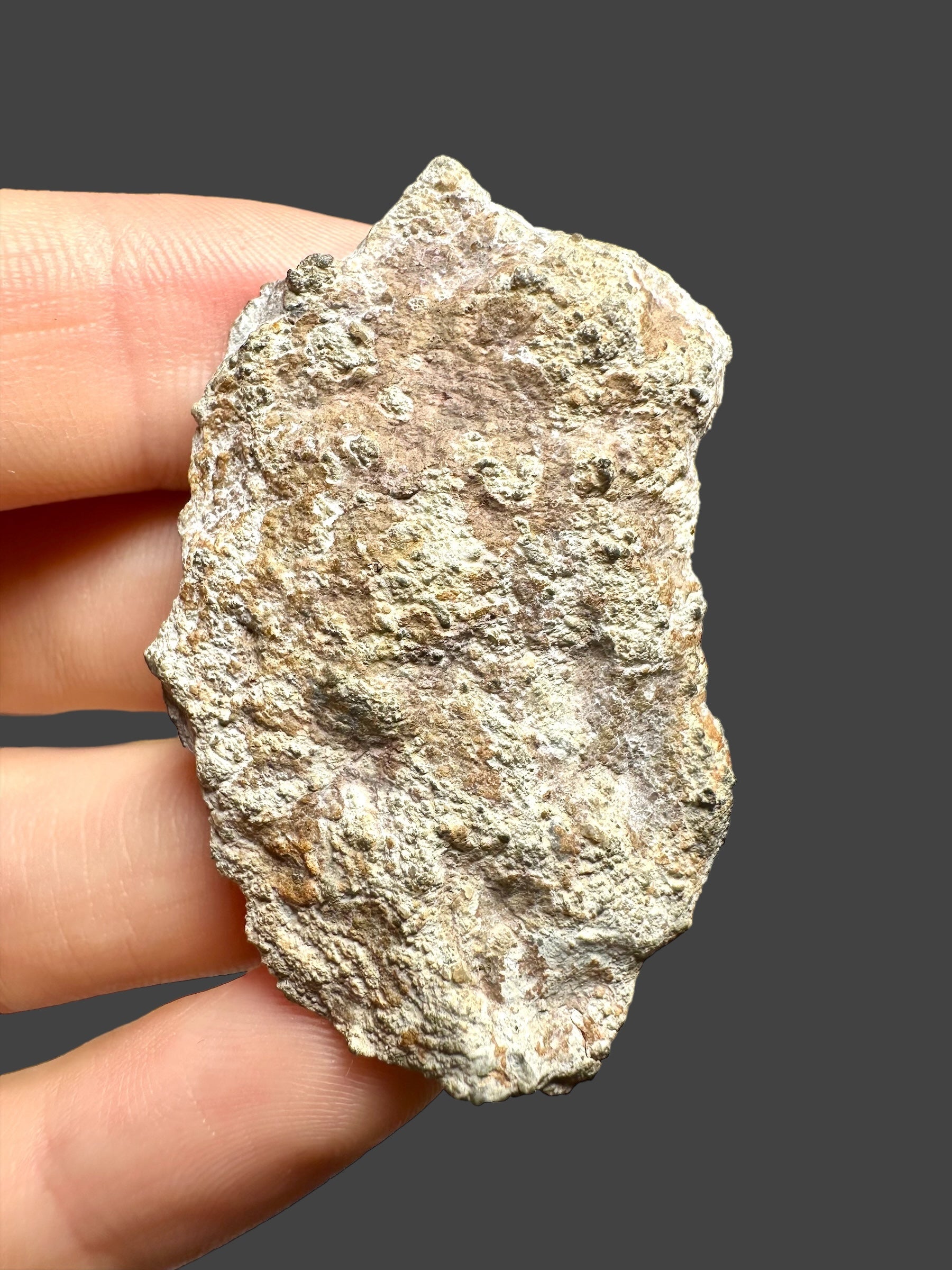 Lunar meteorite Bechar 003 – 9,6g – Algeria - MEBA01