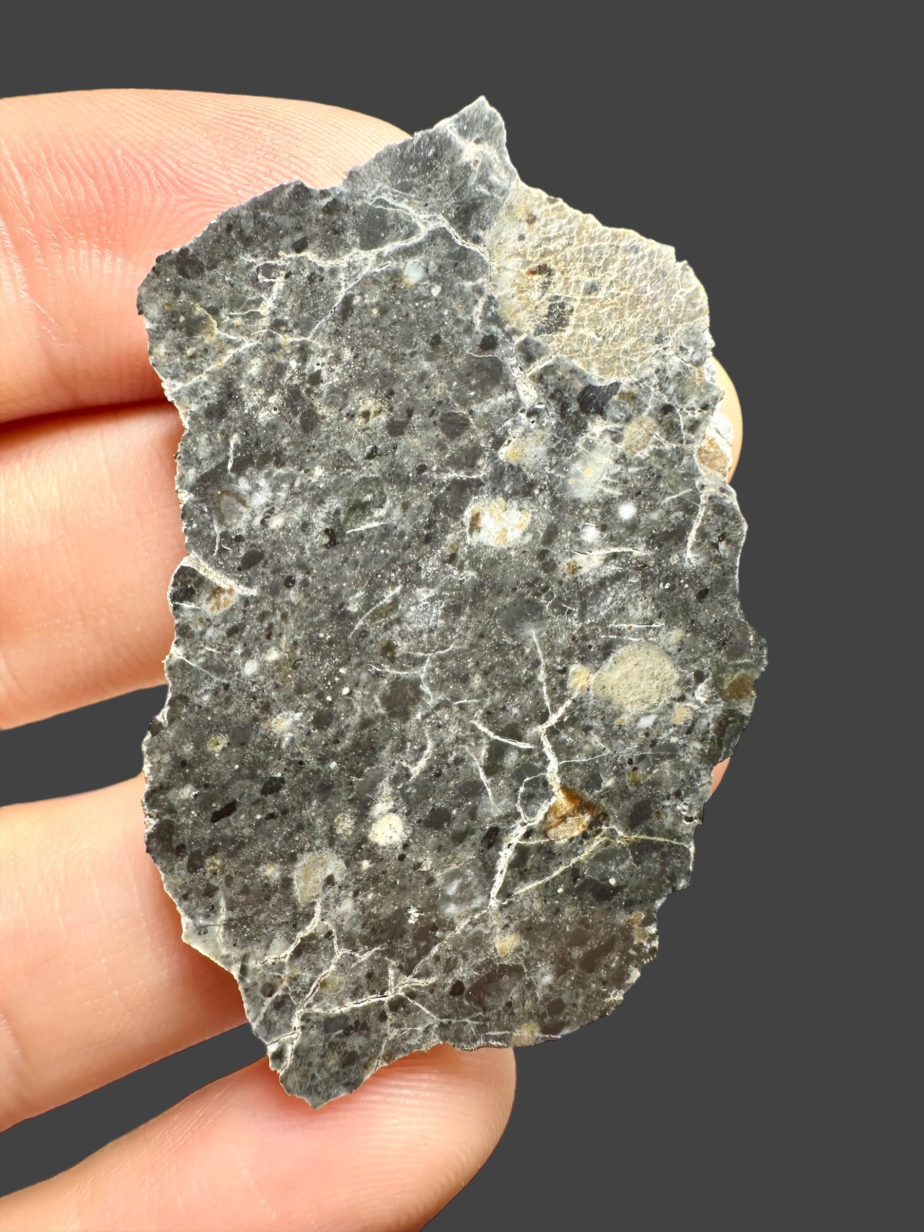 Lunar meteorite Bechar 003 – 9,6g – Algeria - MEBA01
