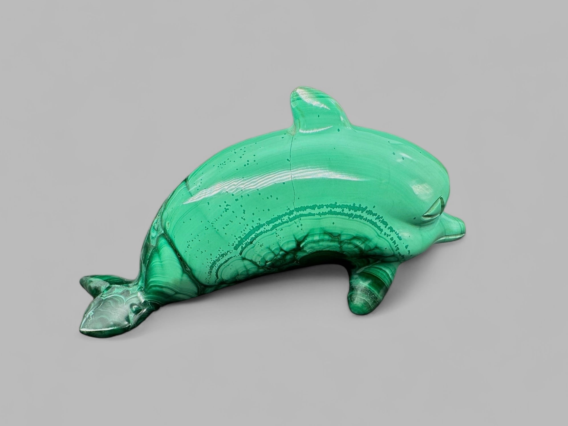 Malachite animal – Dolphin - MZ018