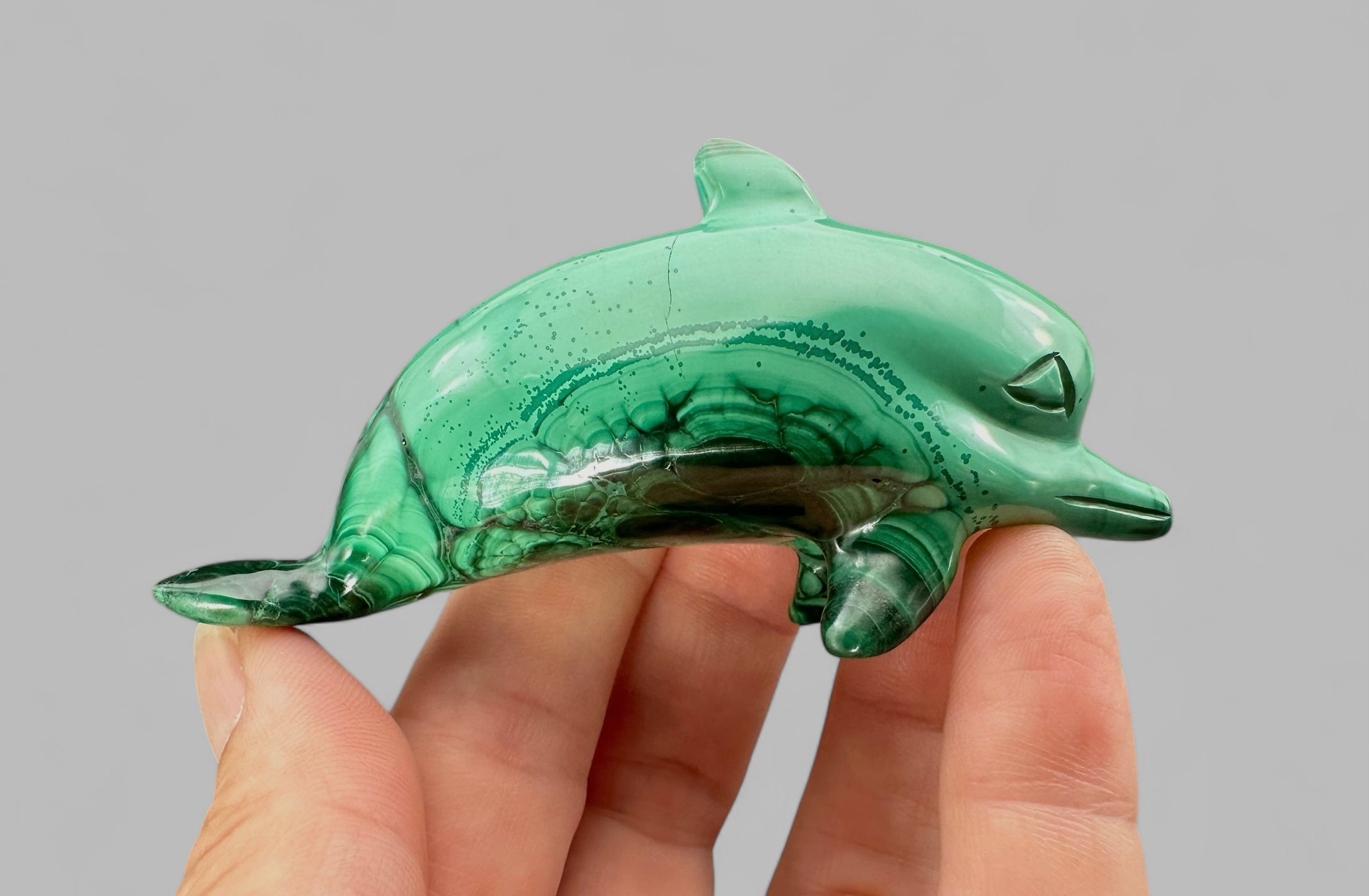 Malachite animal – Dolphin - MZ018