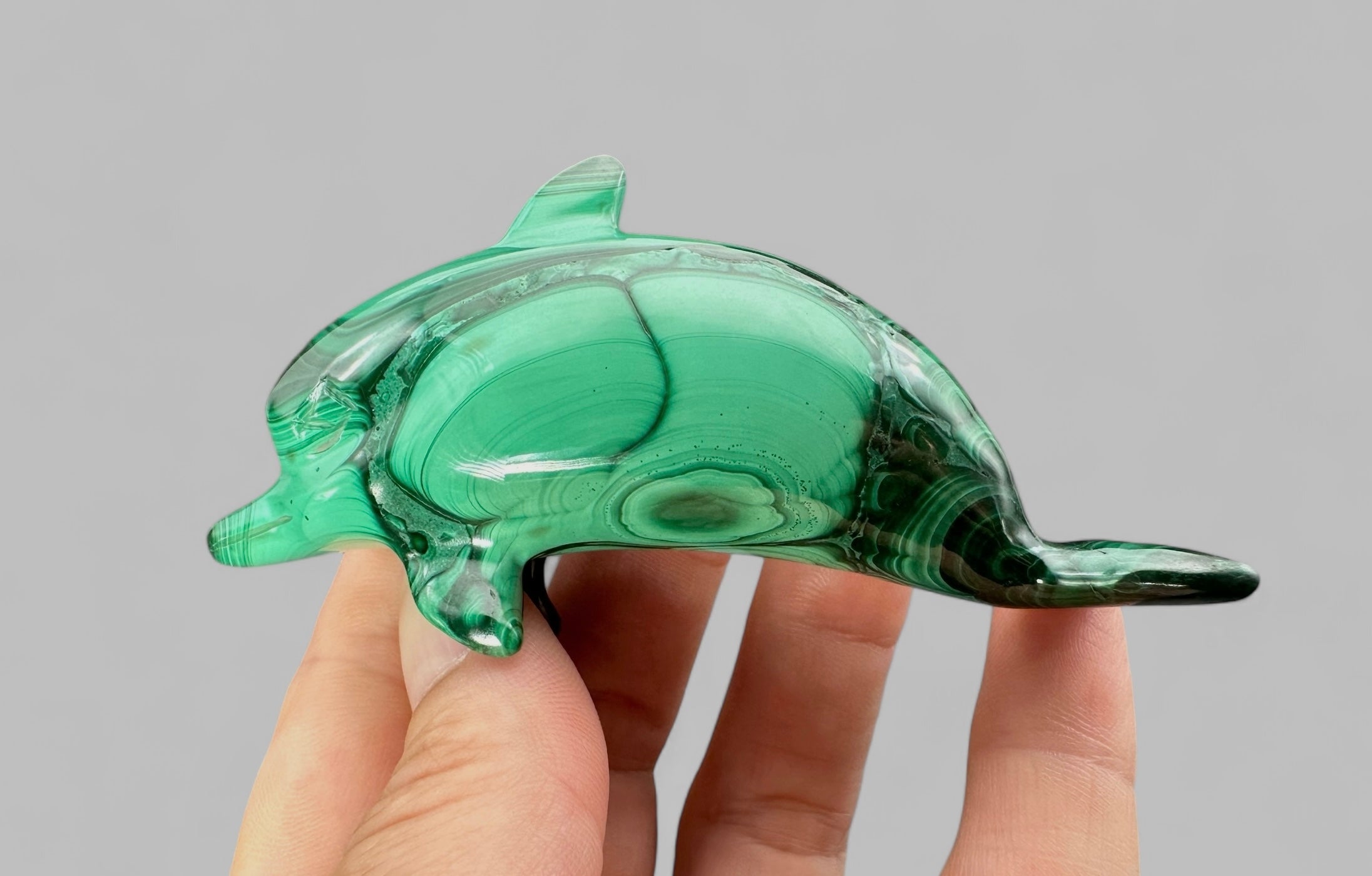 Malachite animal – Dolphin - MZ018