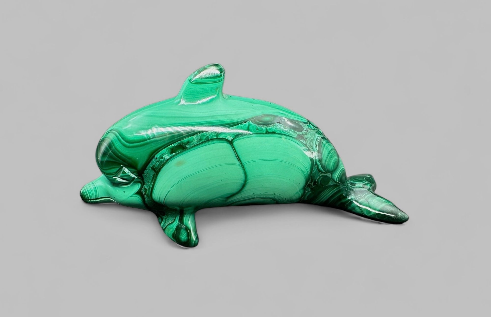 Malachite animal – Dolphin