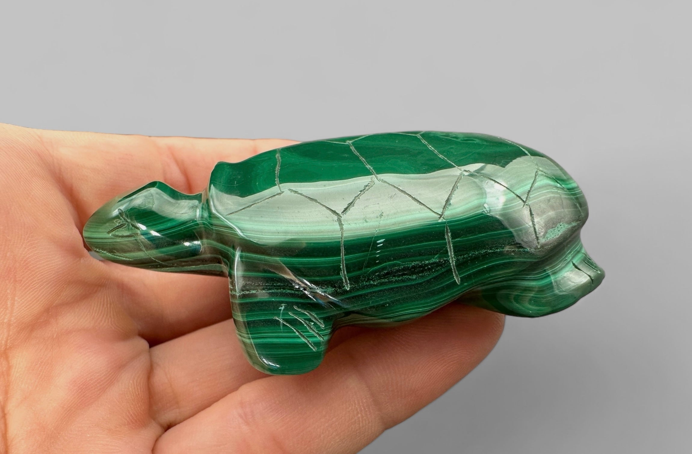 Malachite animal – Turtle - MZ020