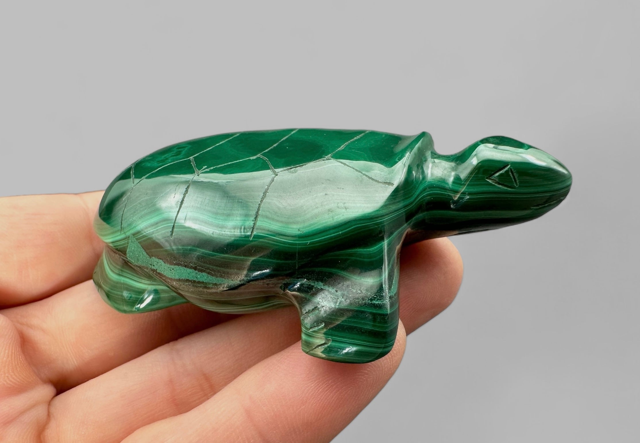 Malachite animal – Turtle - MZ020