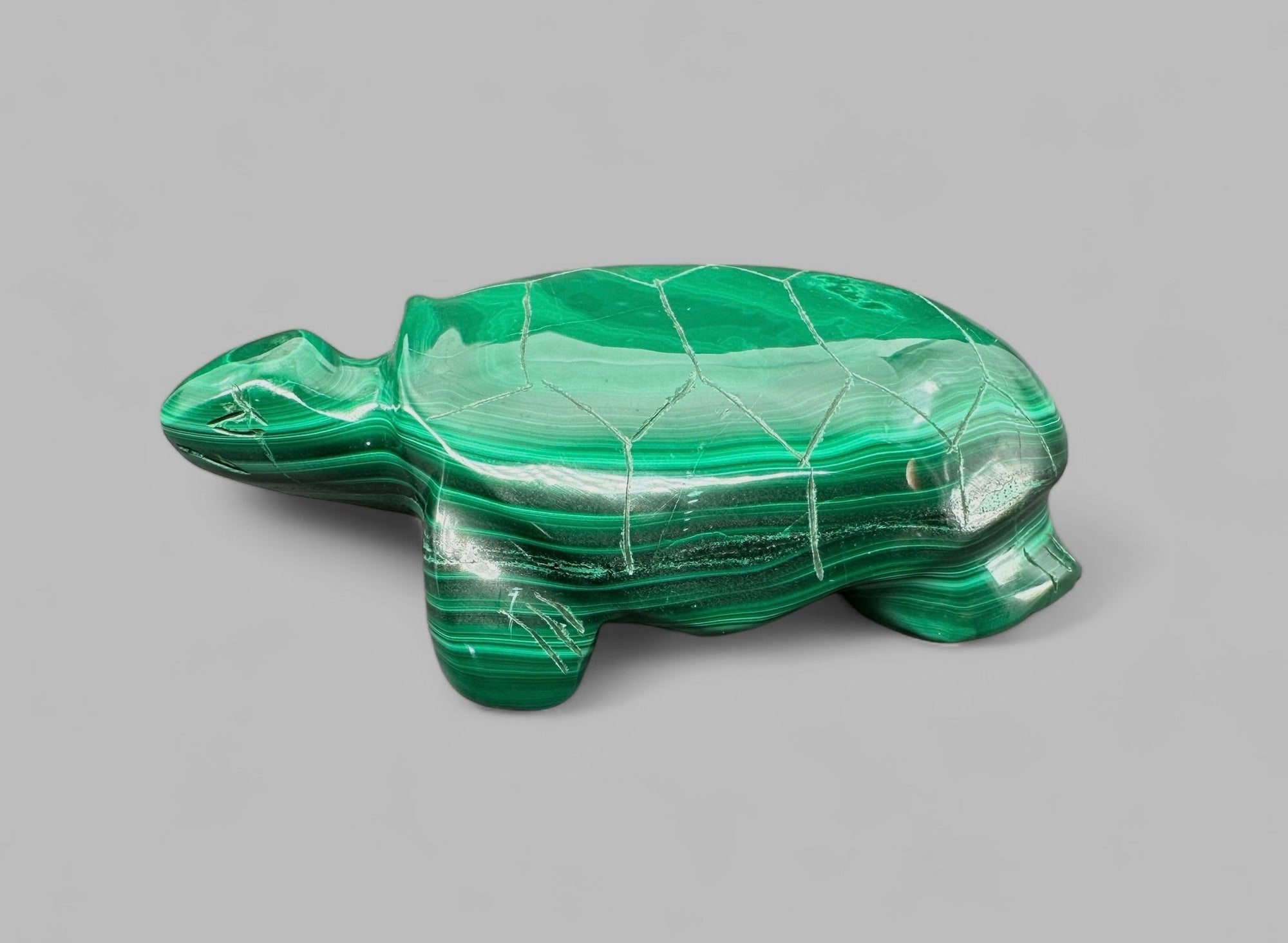 Malachite animal – Turtle