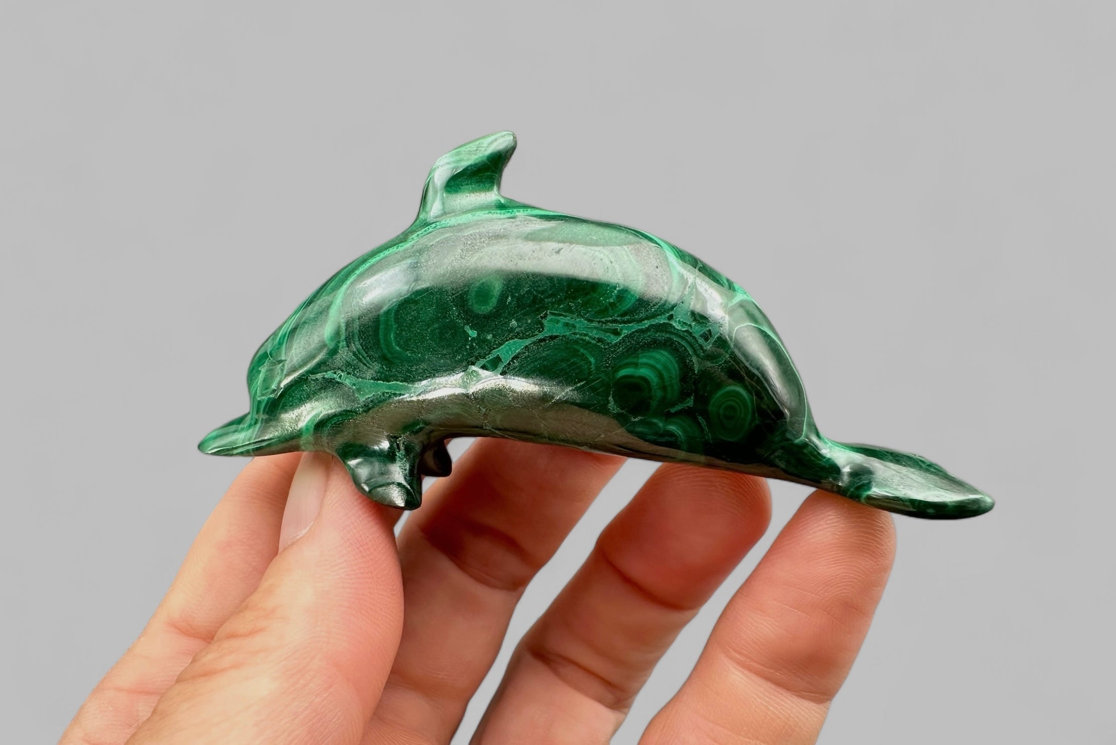 Malachite animal – Dolphin - MZ021