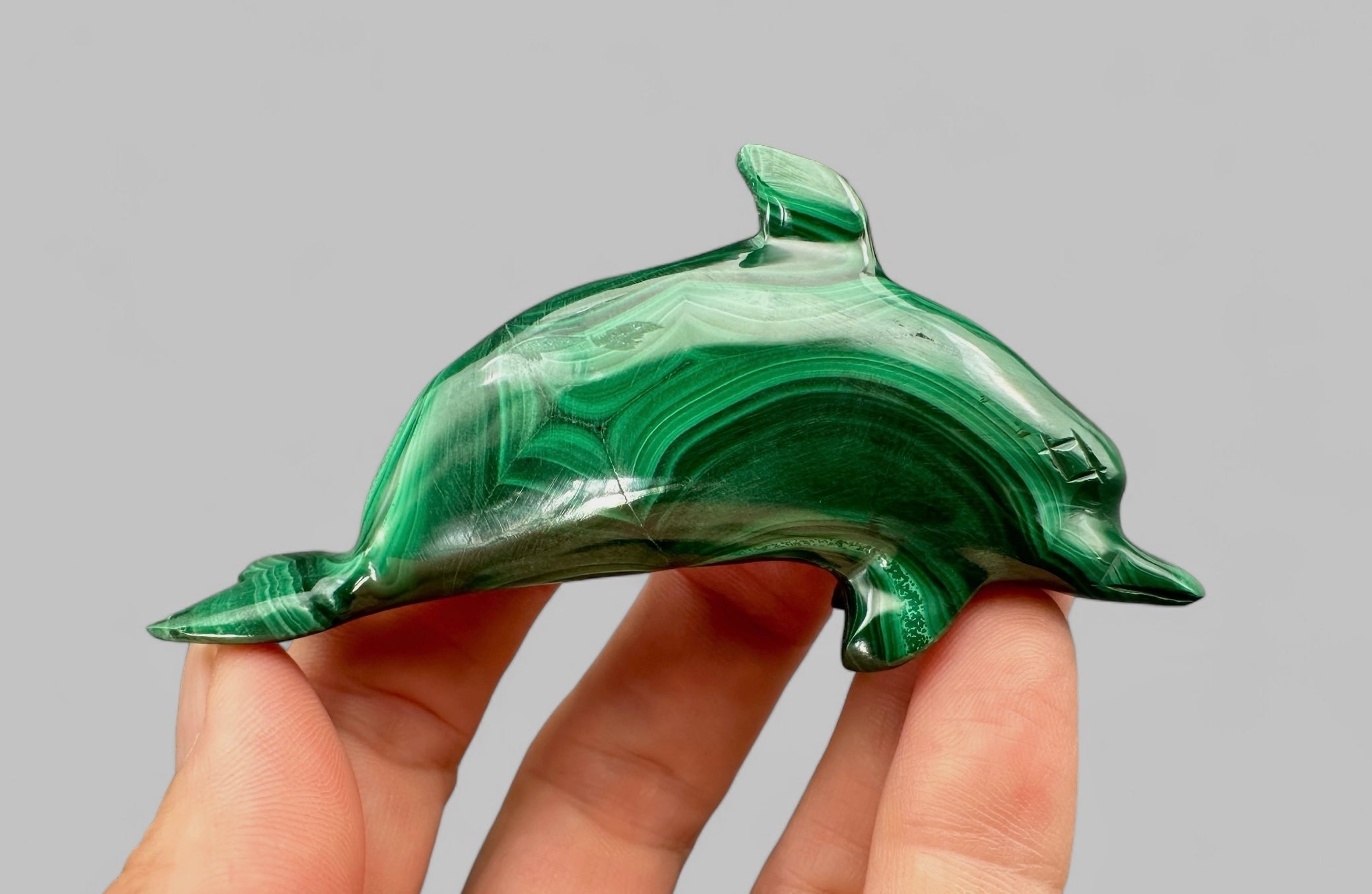 Malachite animal – Dolphin - MZ021