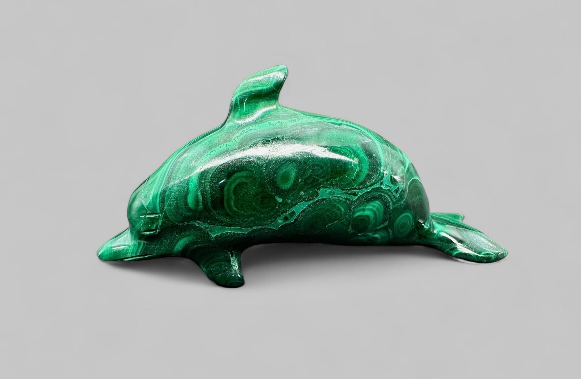 Malachite animal – Dolphin