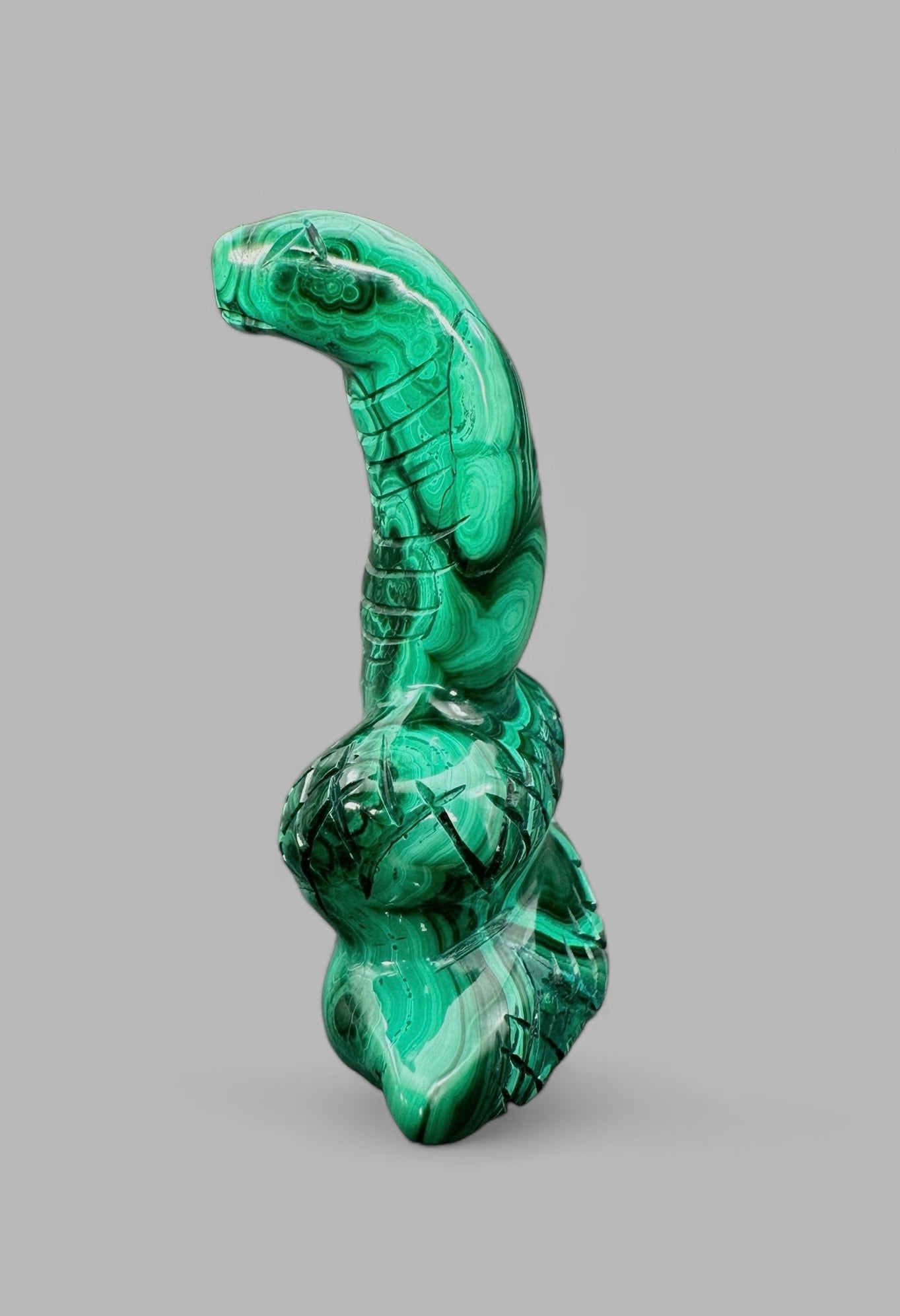 Malachite animal – Cobra - MZ024