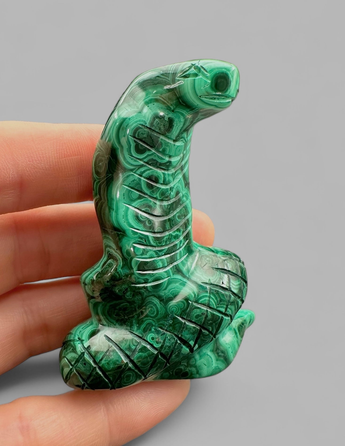 Malachite animal – Cobra - MZ024