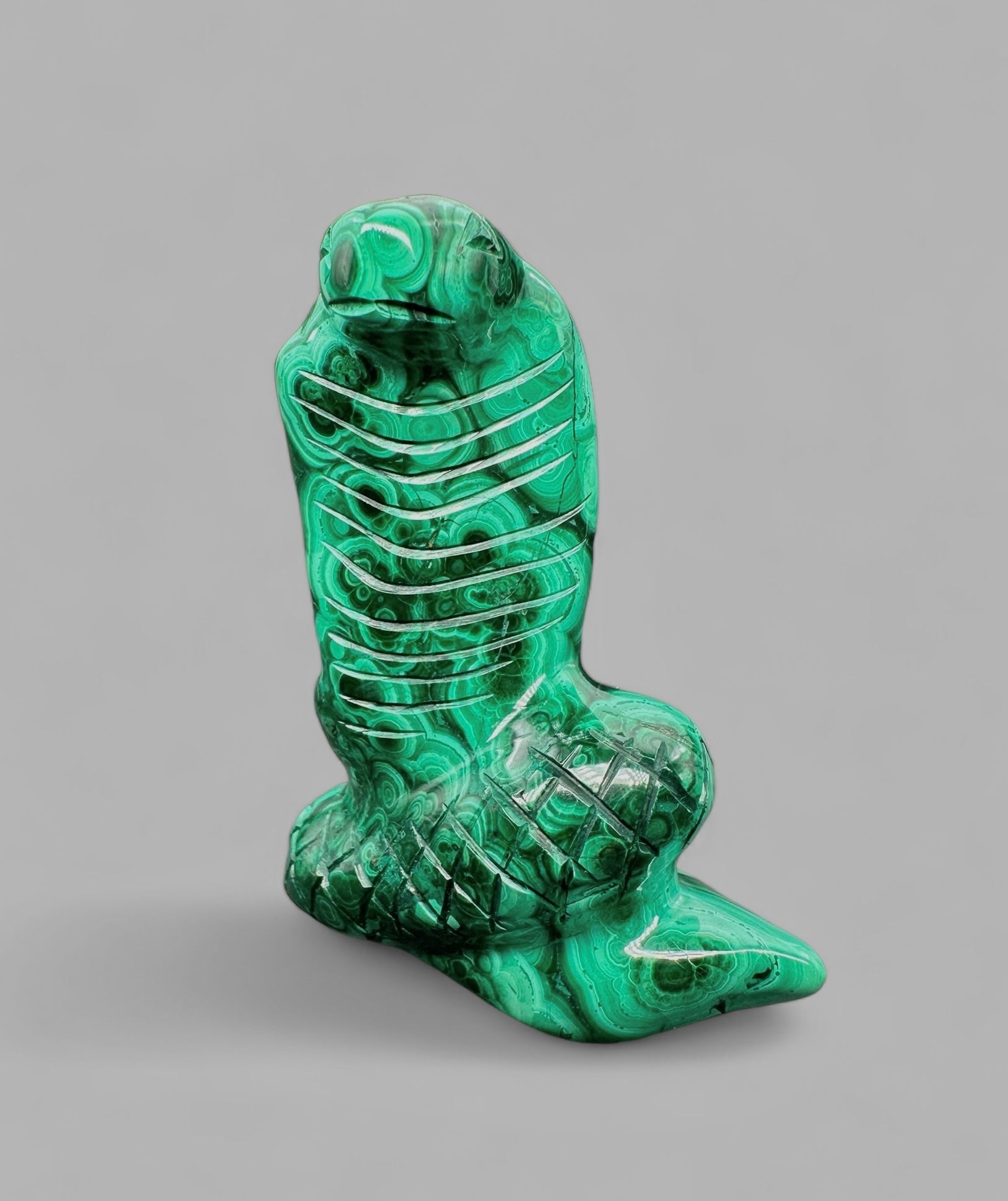 Malachite animal – Cobra