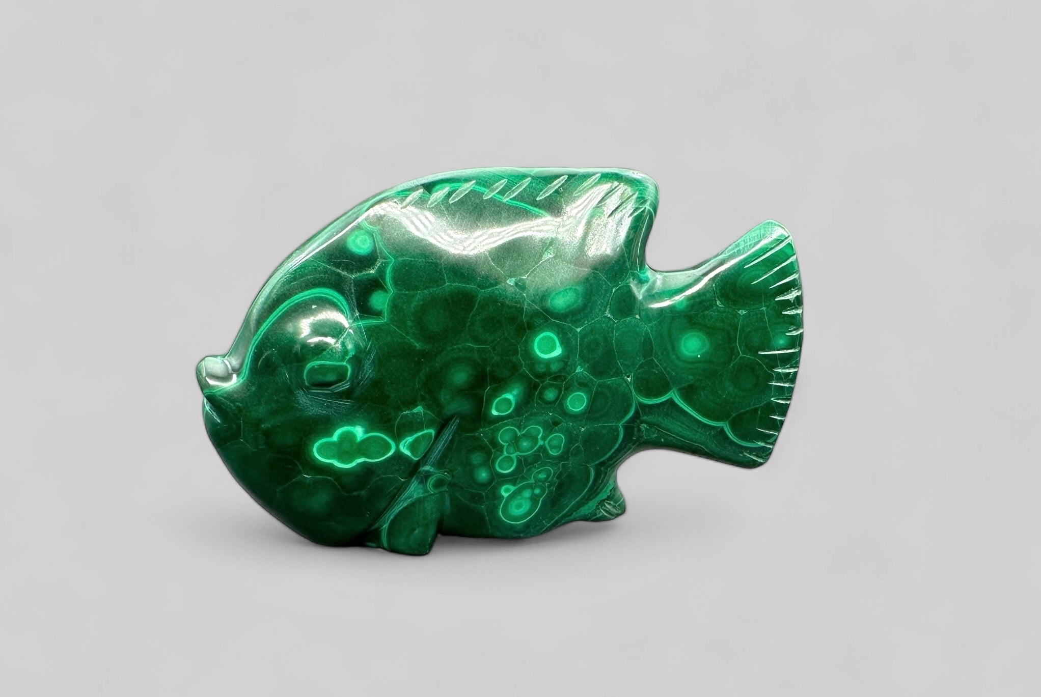 Malachite animal – Fish - MZ025