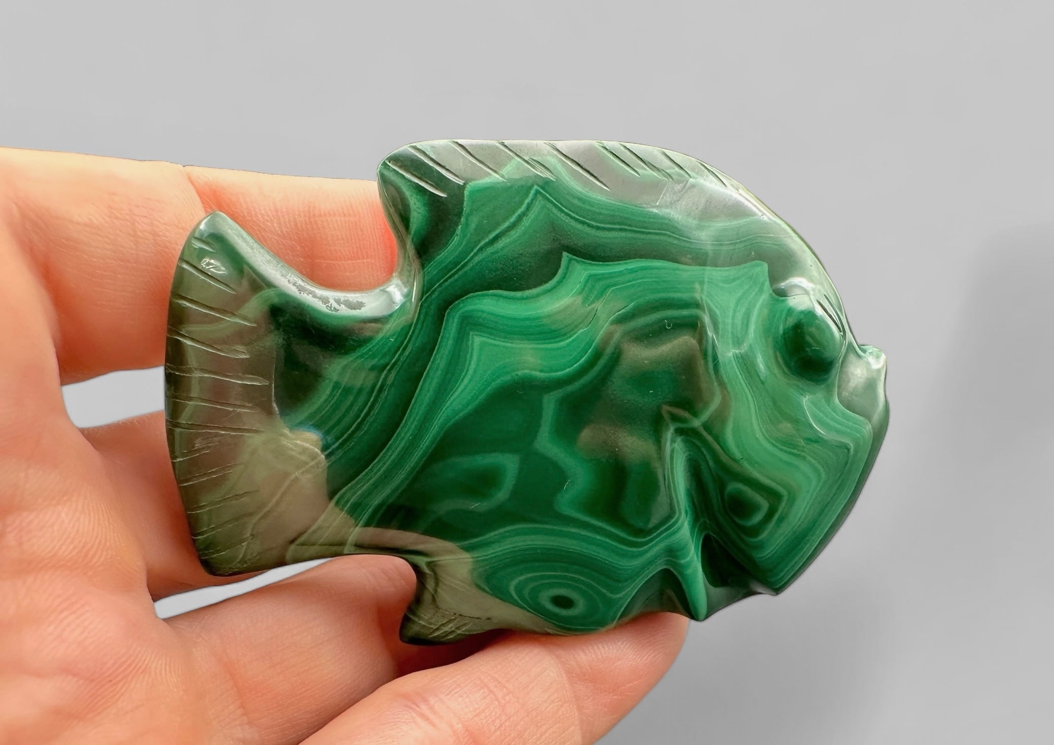 Malachite animal – Fish - MZ025