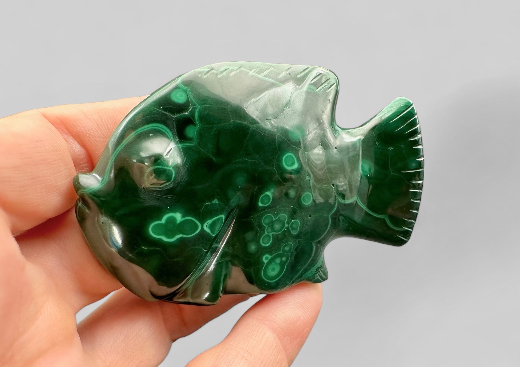 Malachite animal – Fish - MZ025