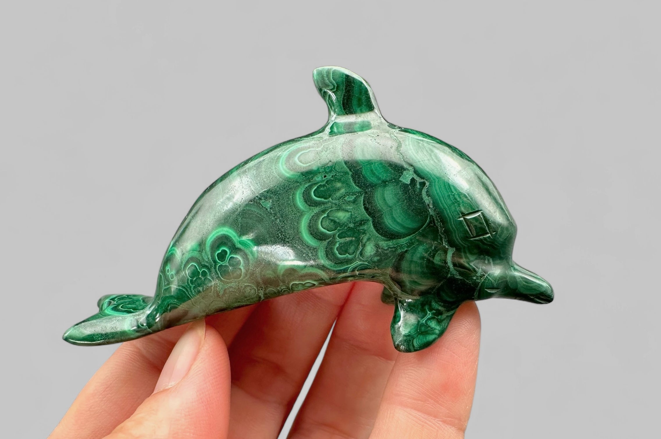 Malachite animal – Dolphin - MZ027